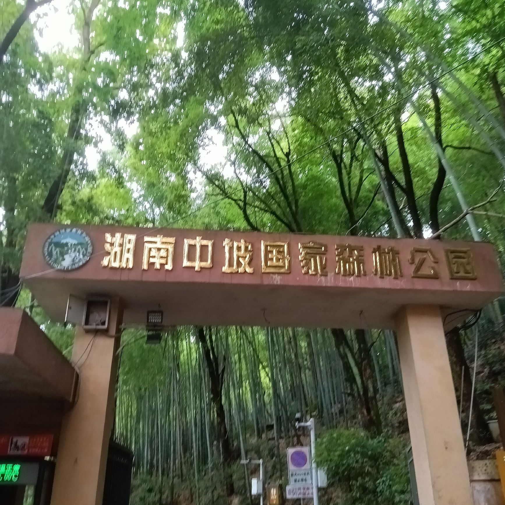 湖南中坡国家森林公园