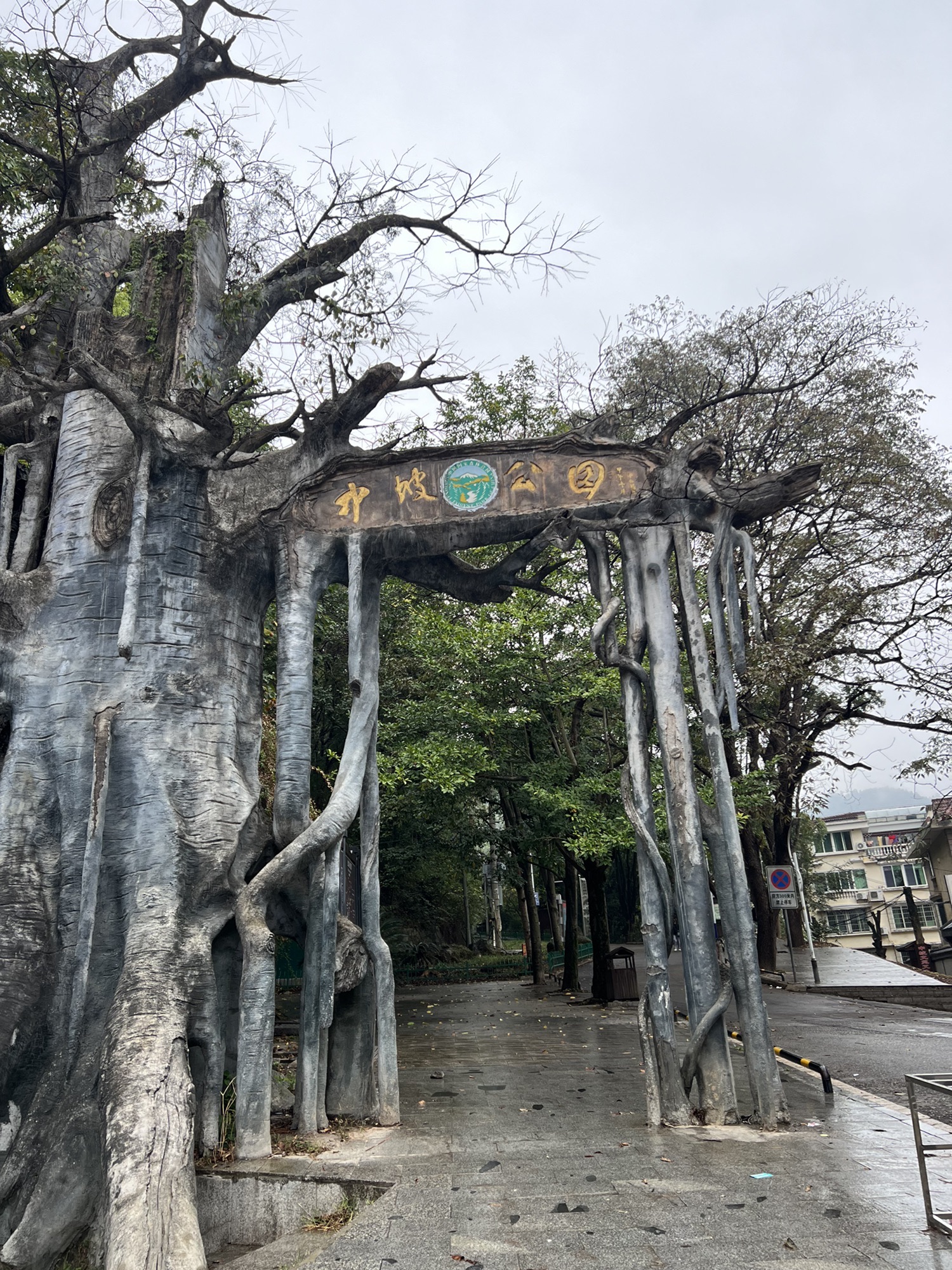 湖南中坡国家森林公园旅行图片 1