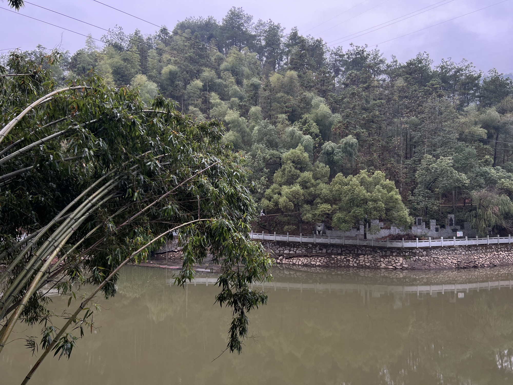 湖南中坡国家森林公园旅行图片 3
