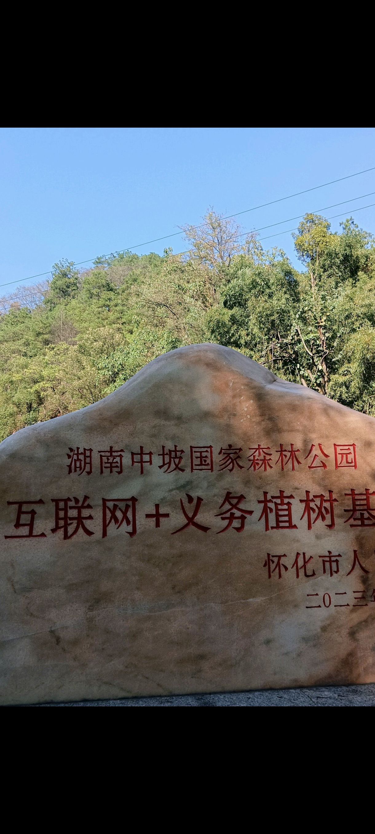 湖南中坡国家森林公园旅行图片 1