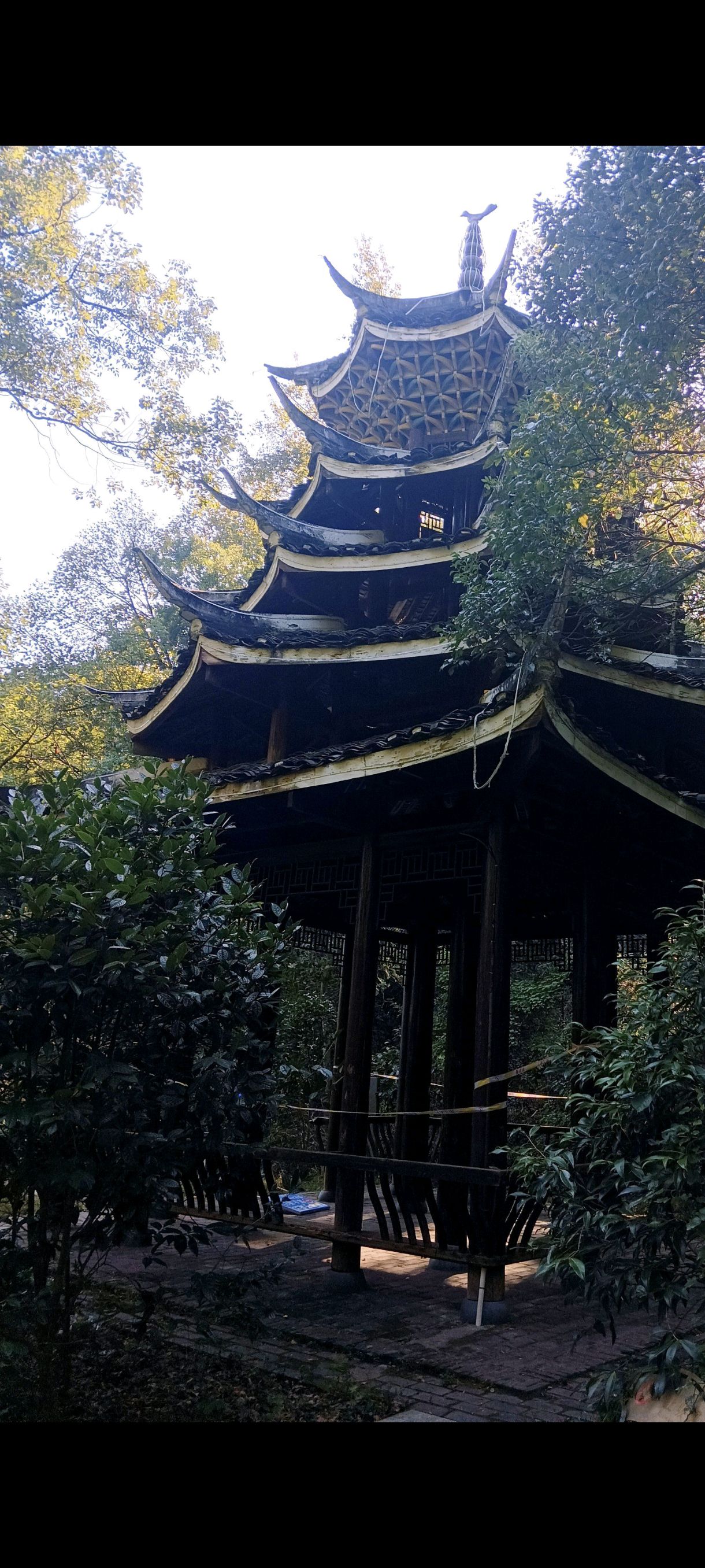 湖南中坡国家森林公园旅行图片 3