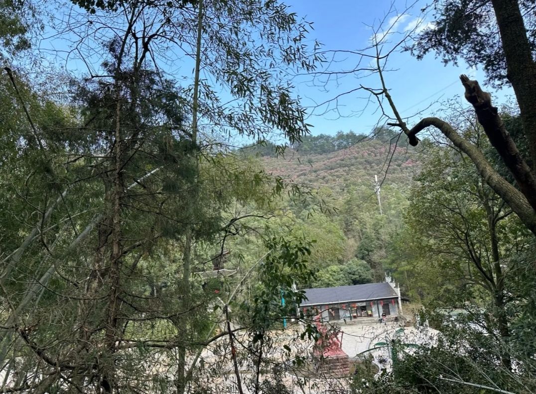 湖南中坡国家森林公园旅行图片 2