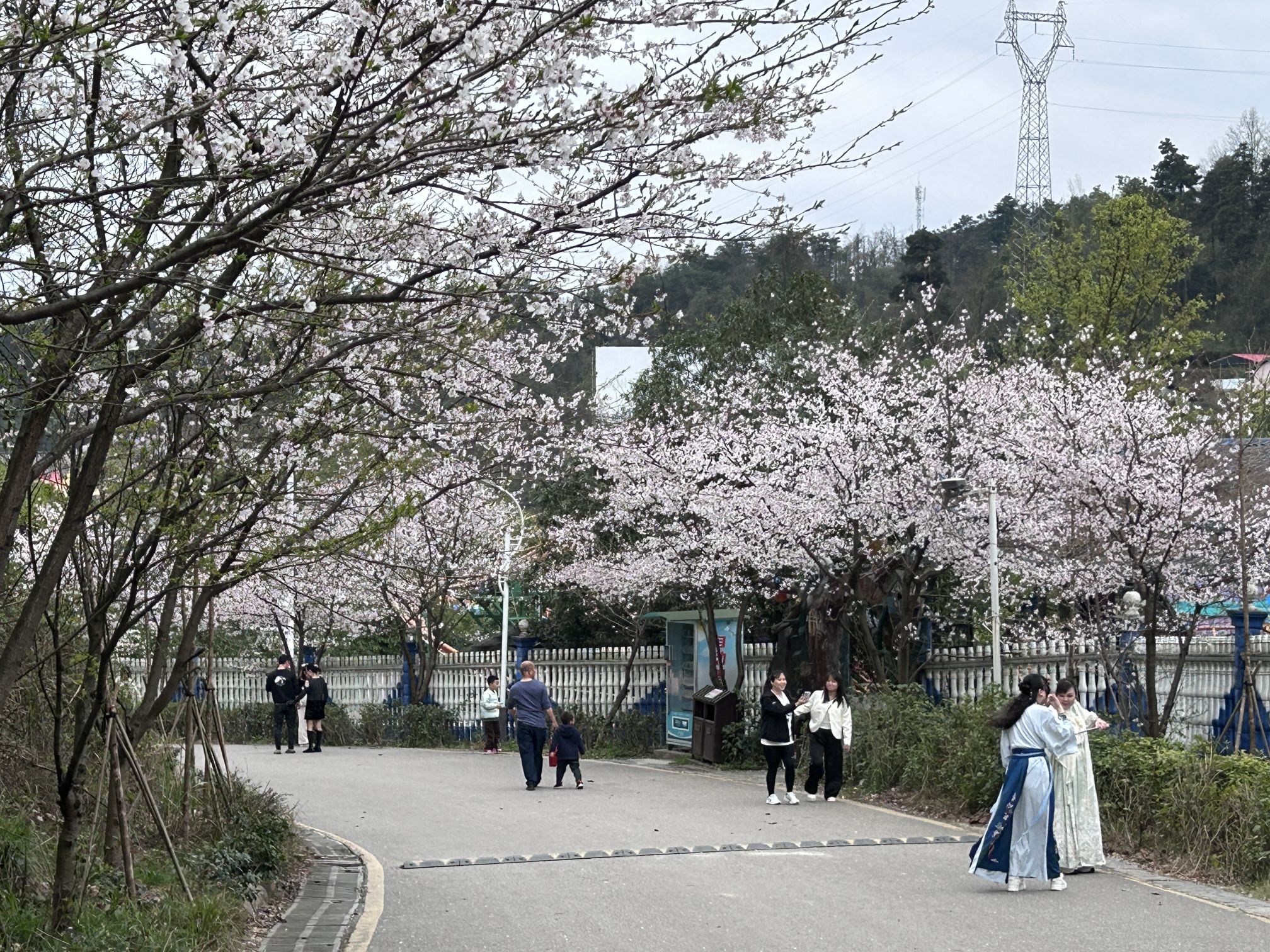 湖南中坡国家森林公园旅行图片 3