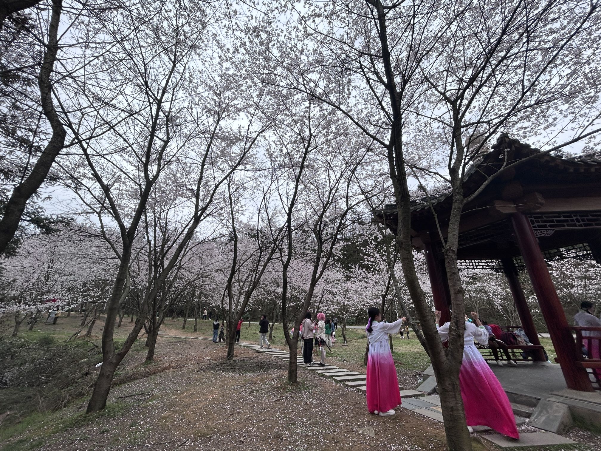 湖南中坡国家森林公园旅行图片 1