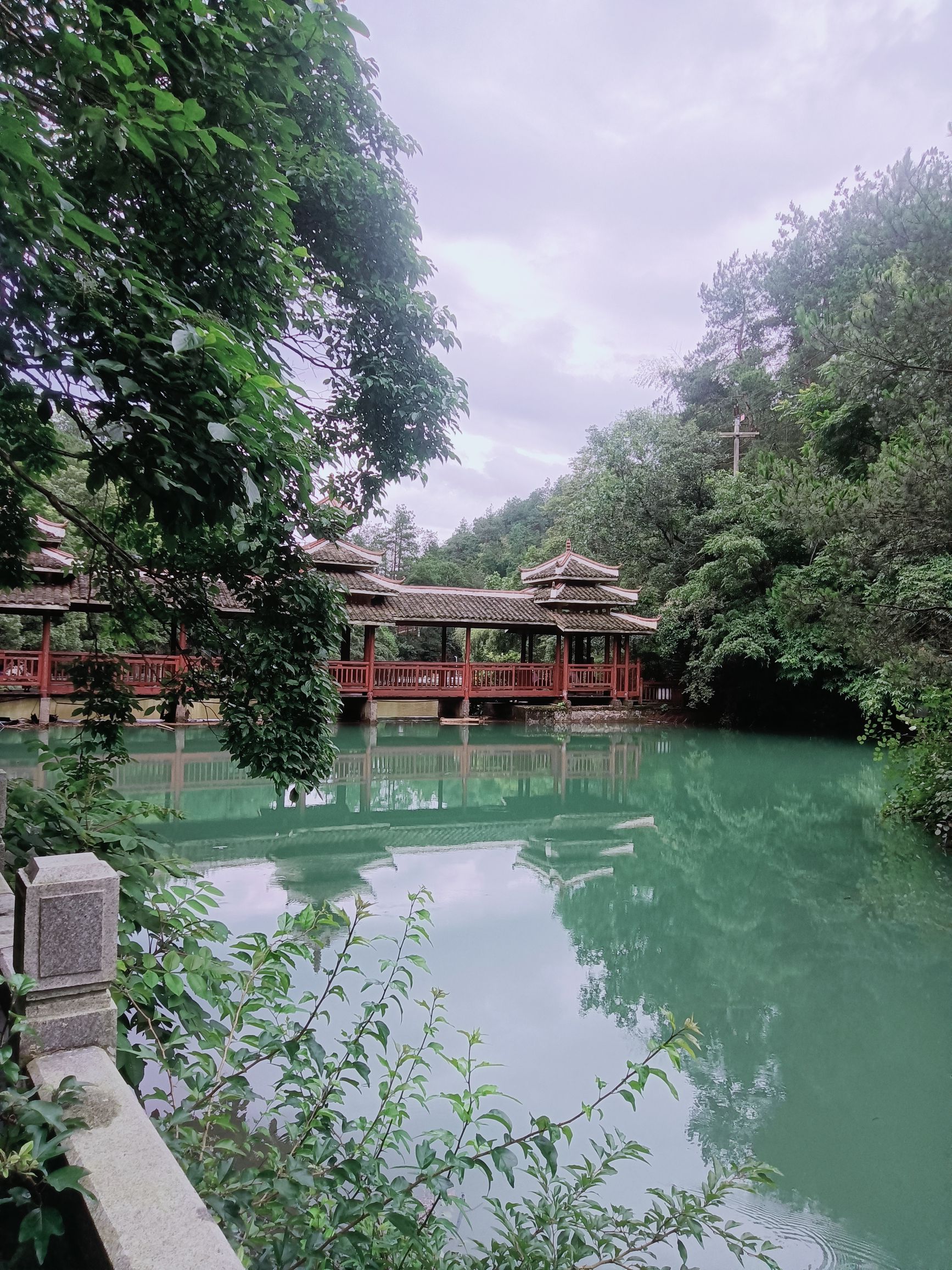 湖南中坡国家森林公园旅行图片 1