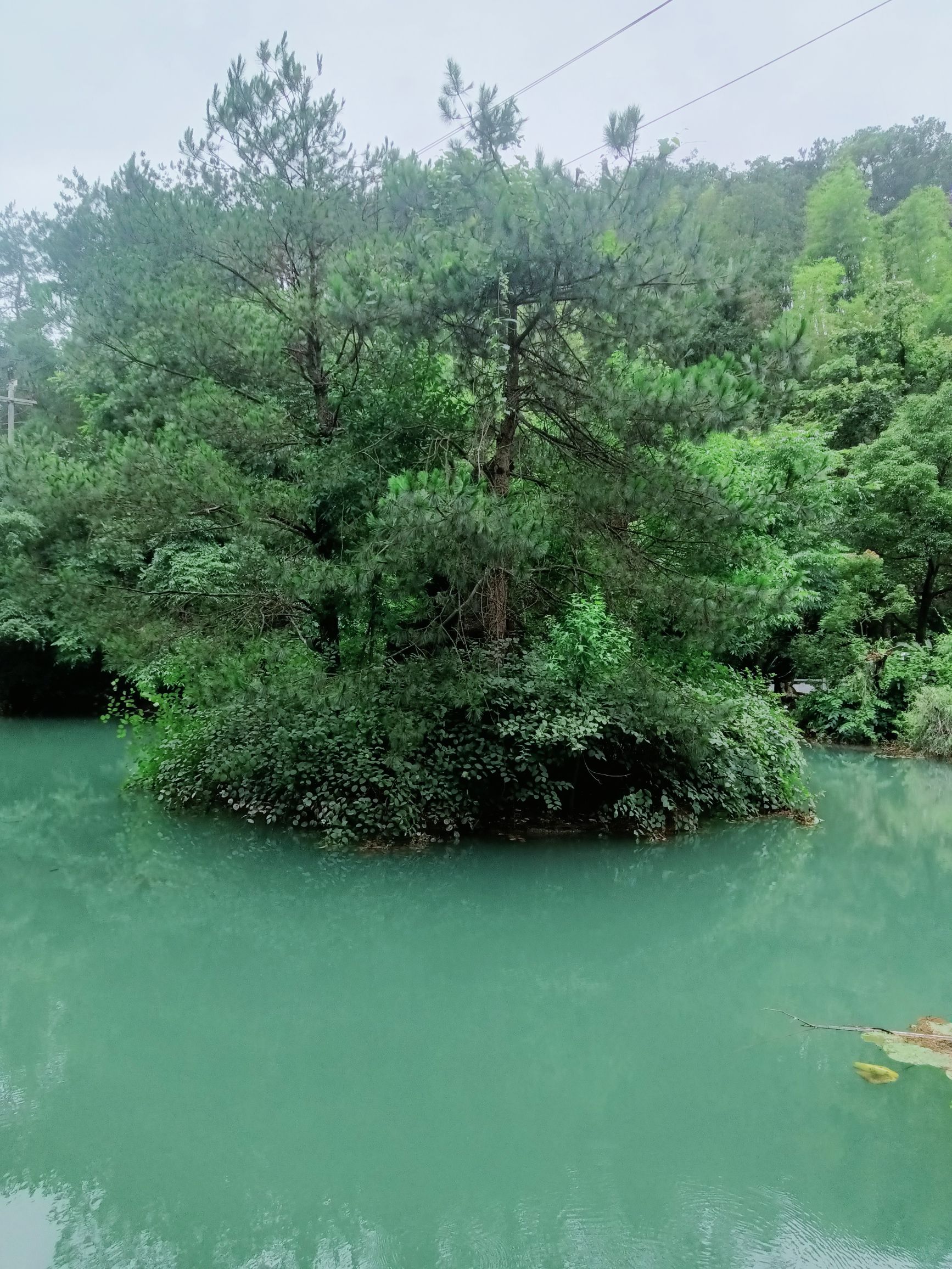 湖南中坡国家森林公园旅行图片 2