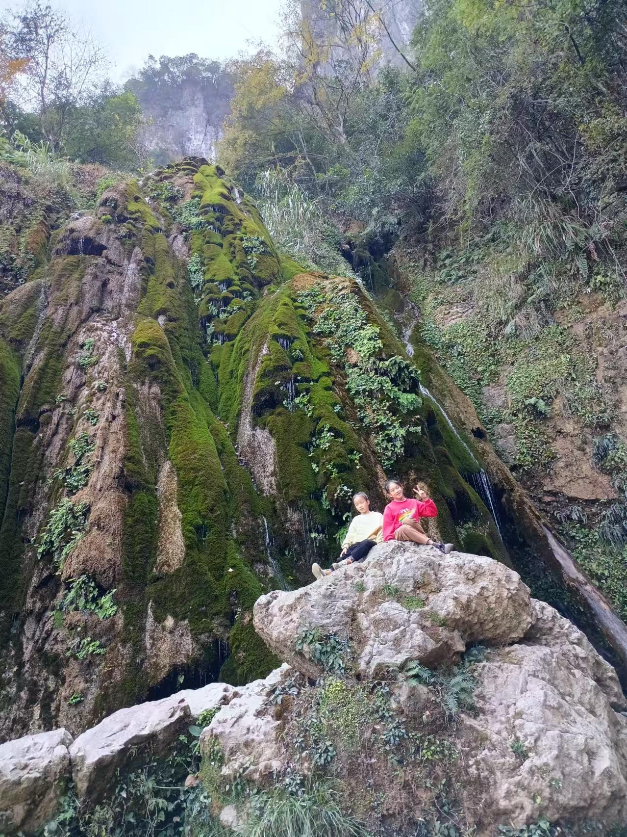 康龙自然保护区旅行图片 1
