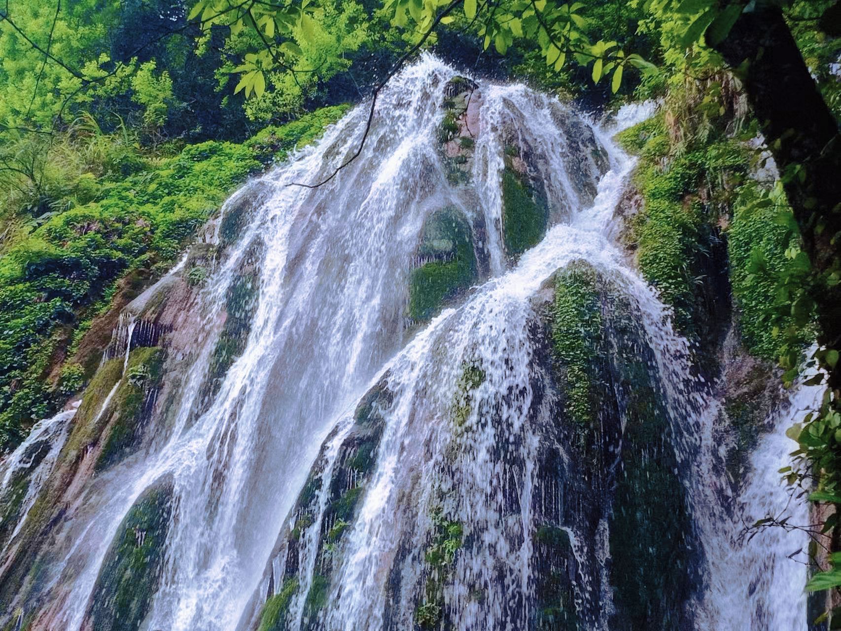康龙自然保护区旅行图片 2