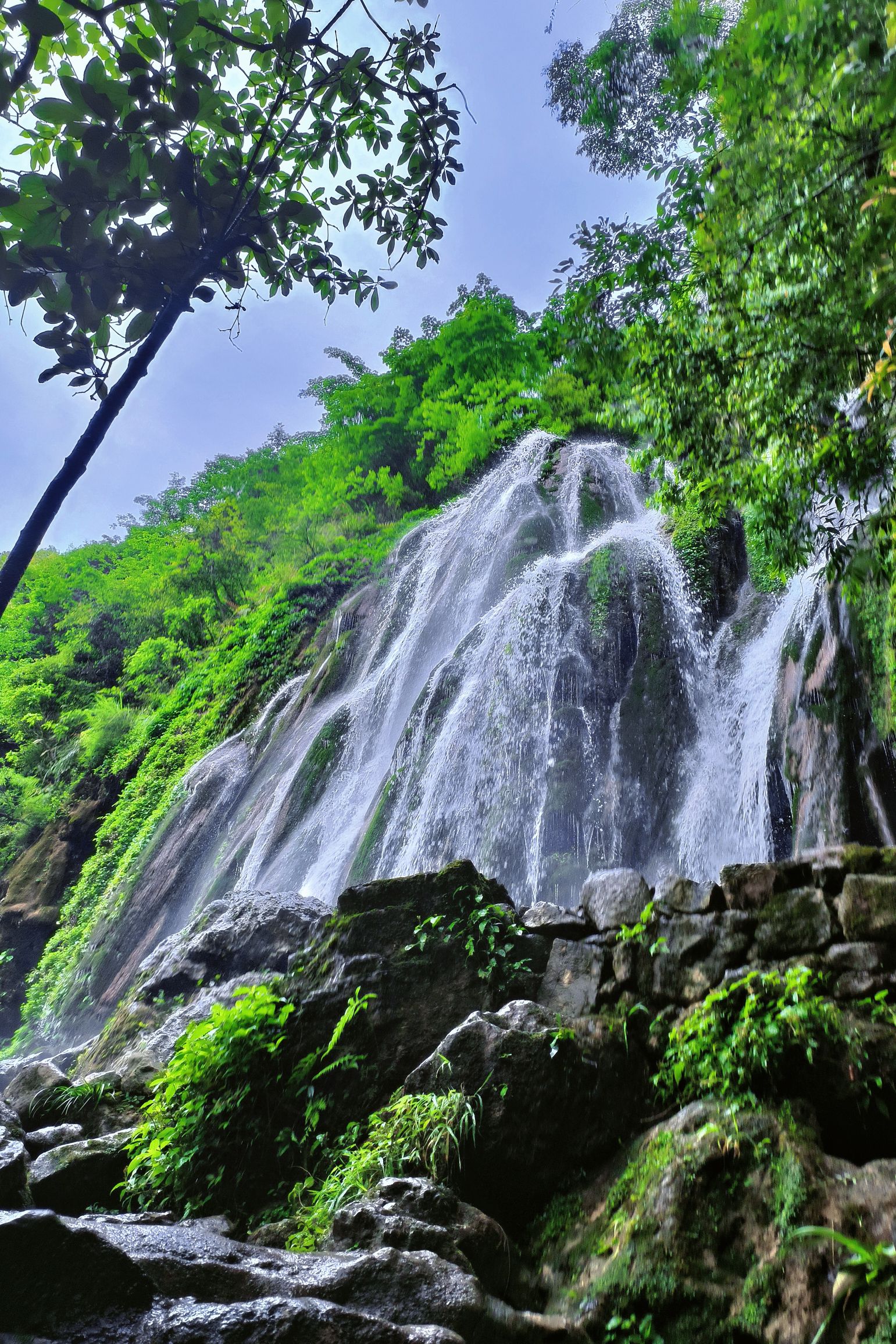康龙自然保护区旅行图片 1
