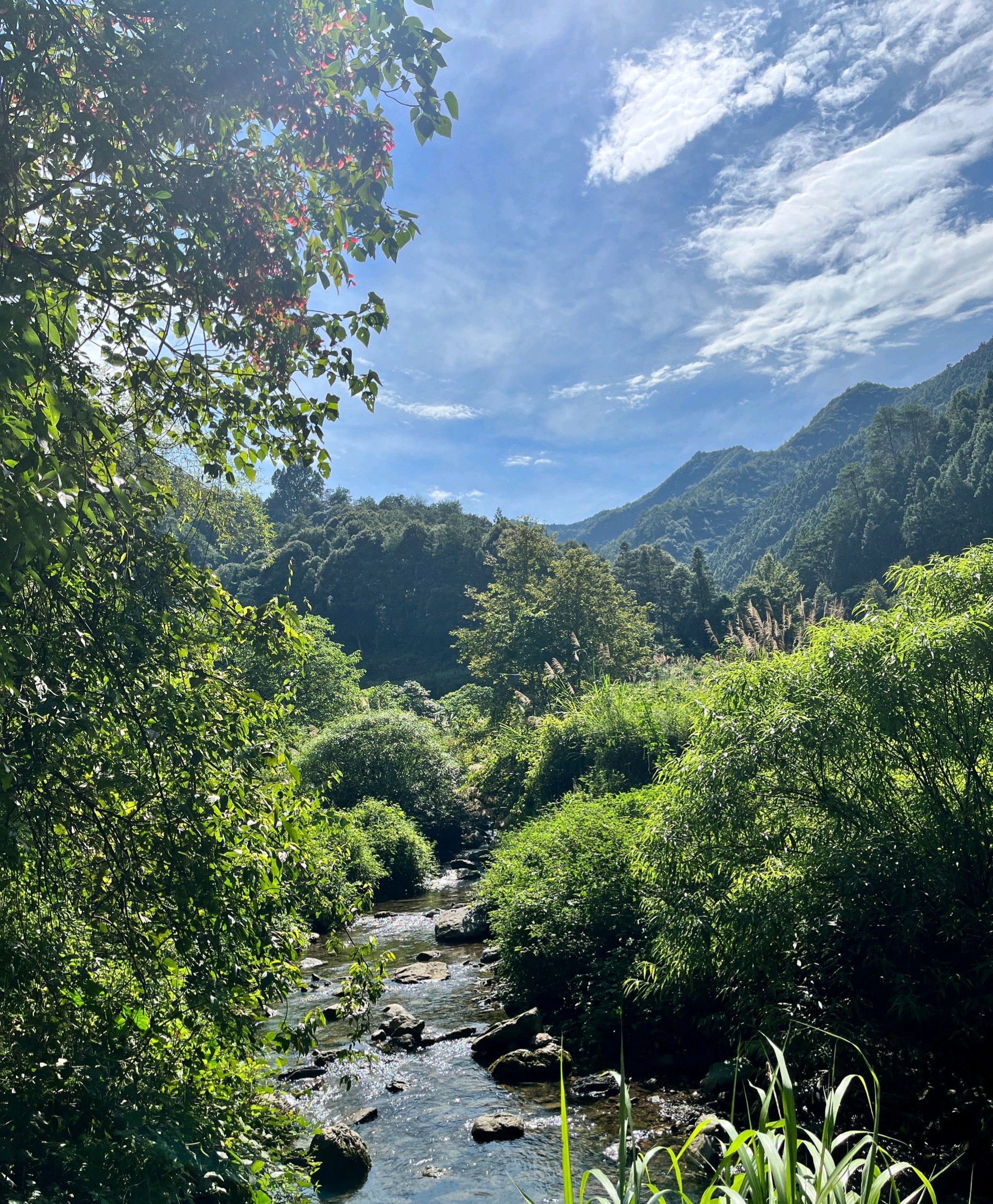 康龙自然保护区旅行图片 2