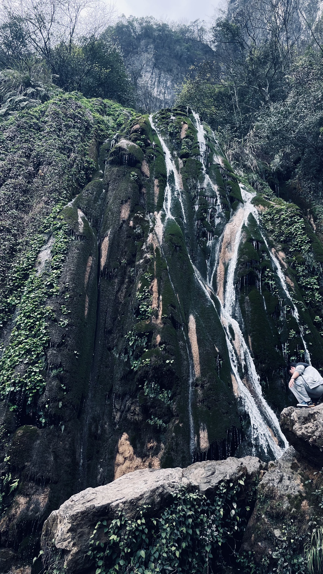 康龙自然保护区旅行图片 3