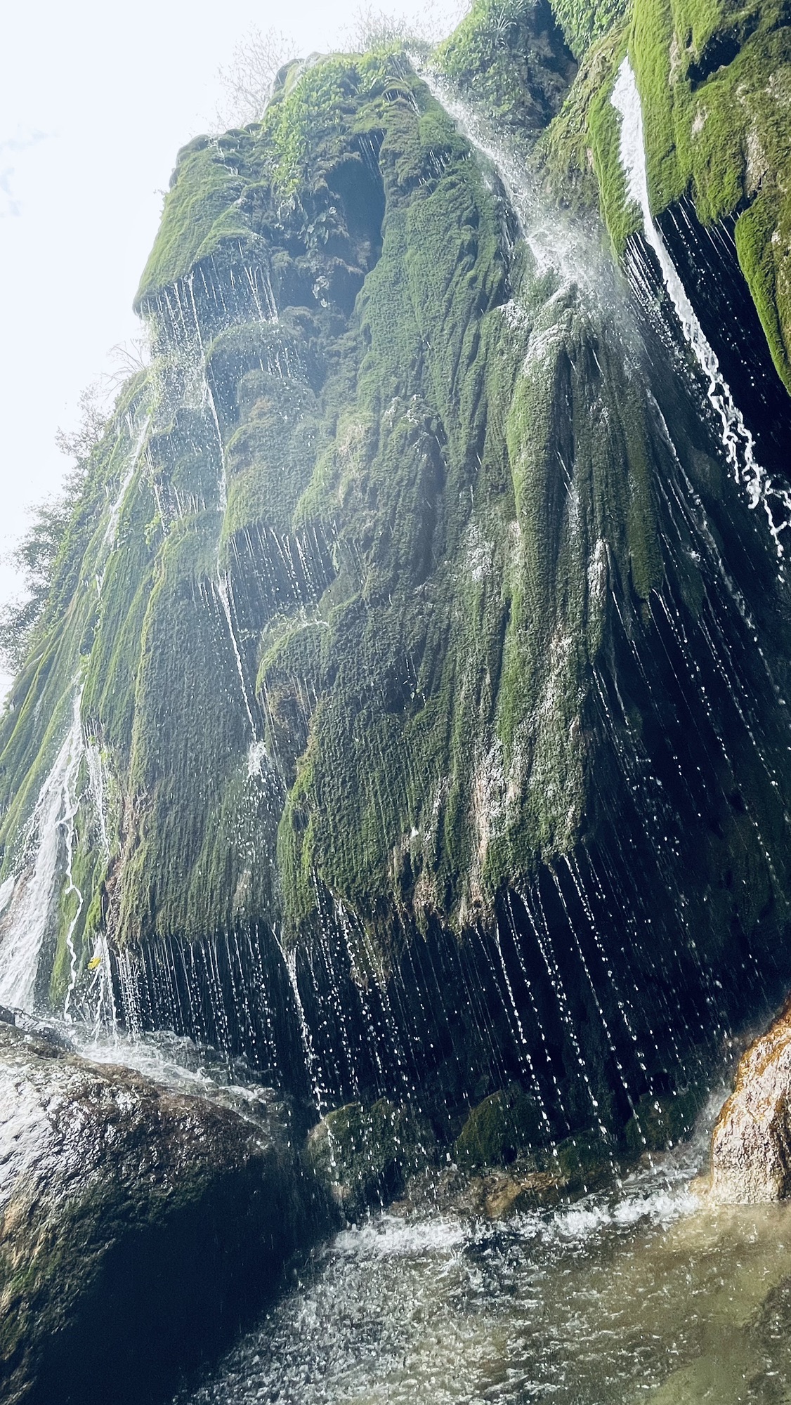 康龙自然保护区旅行图片 1