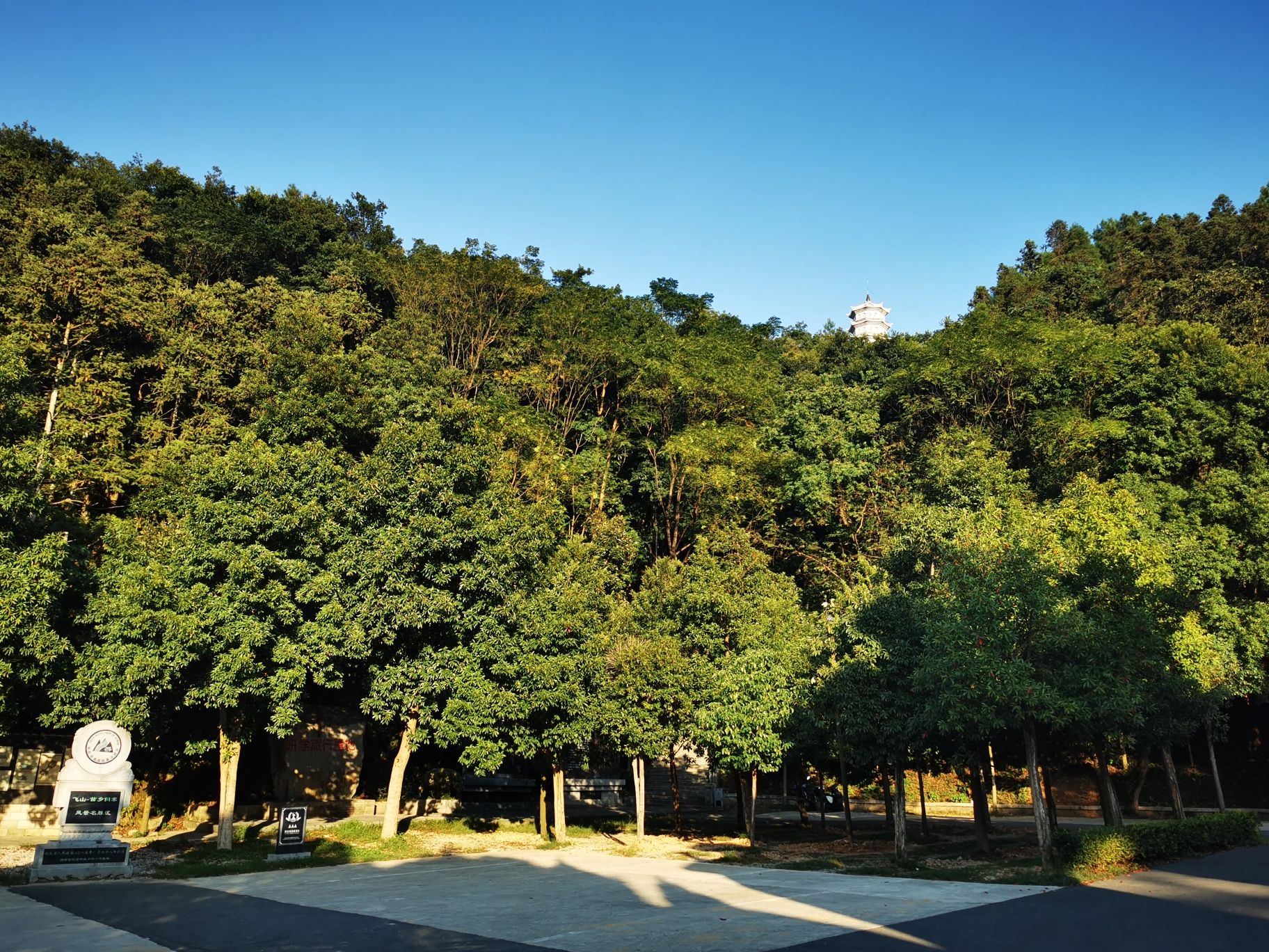 文峰塔景区旅行图片 1