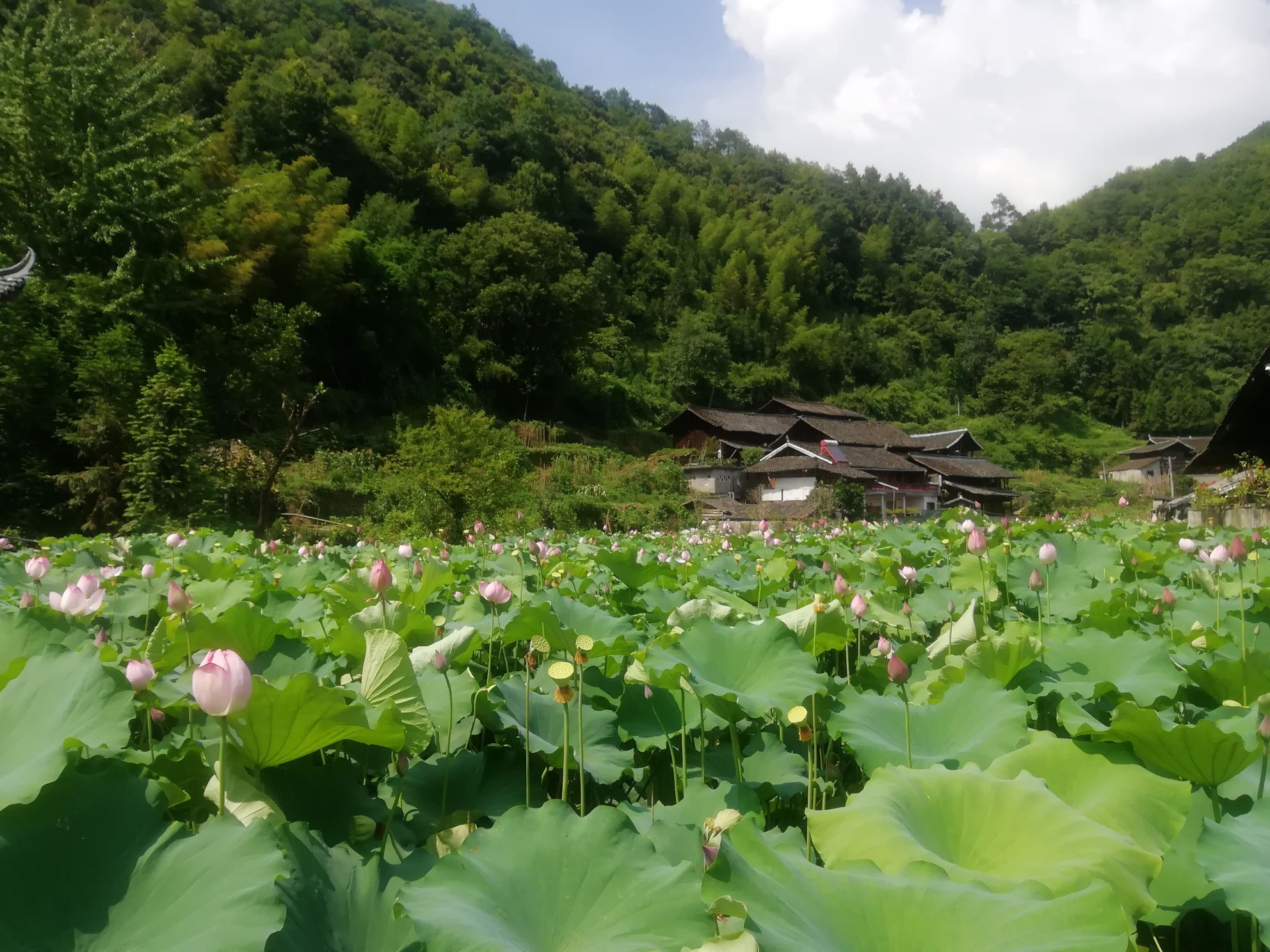 高椅古村旅行图片 2