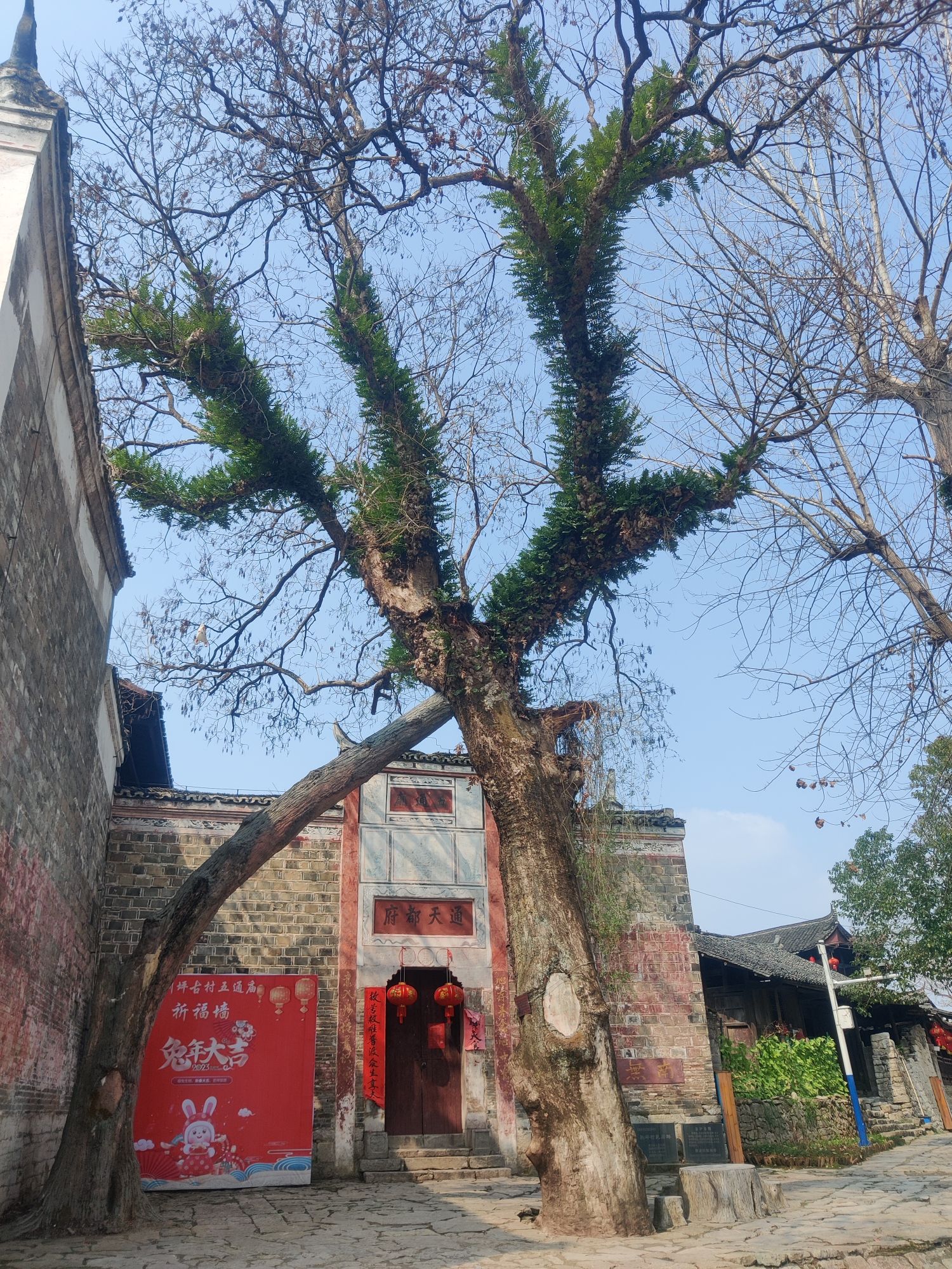 荆坪古村旅行图片 3