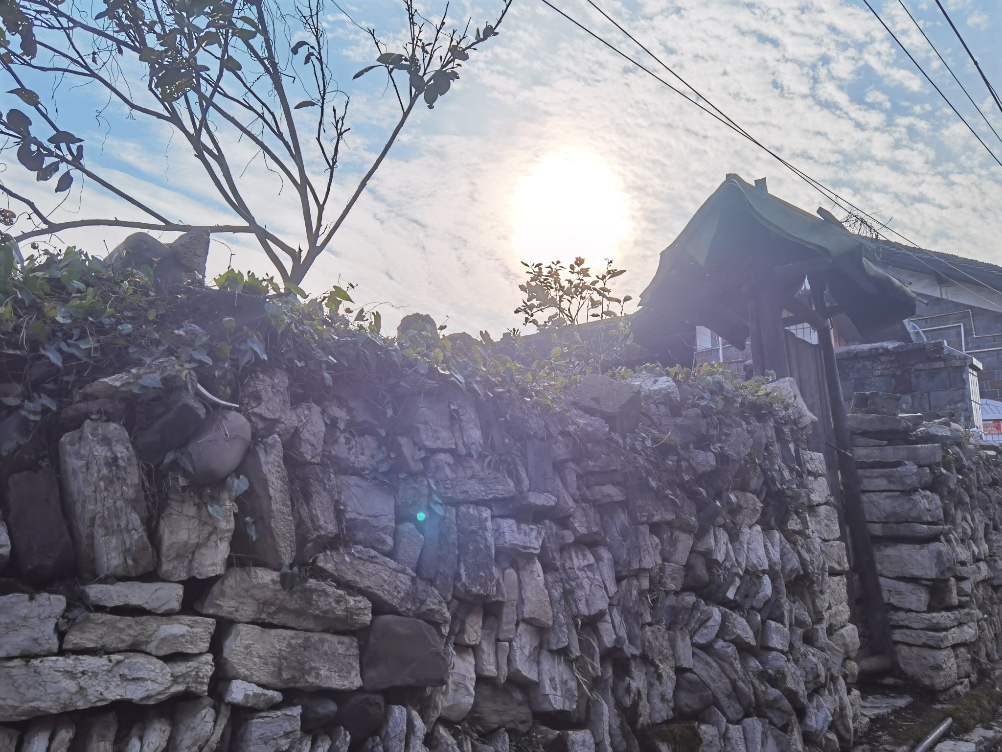 荆坪古村旅行图片 3