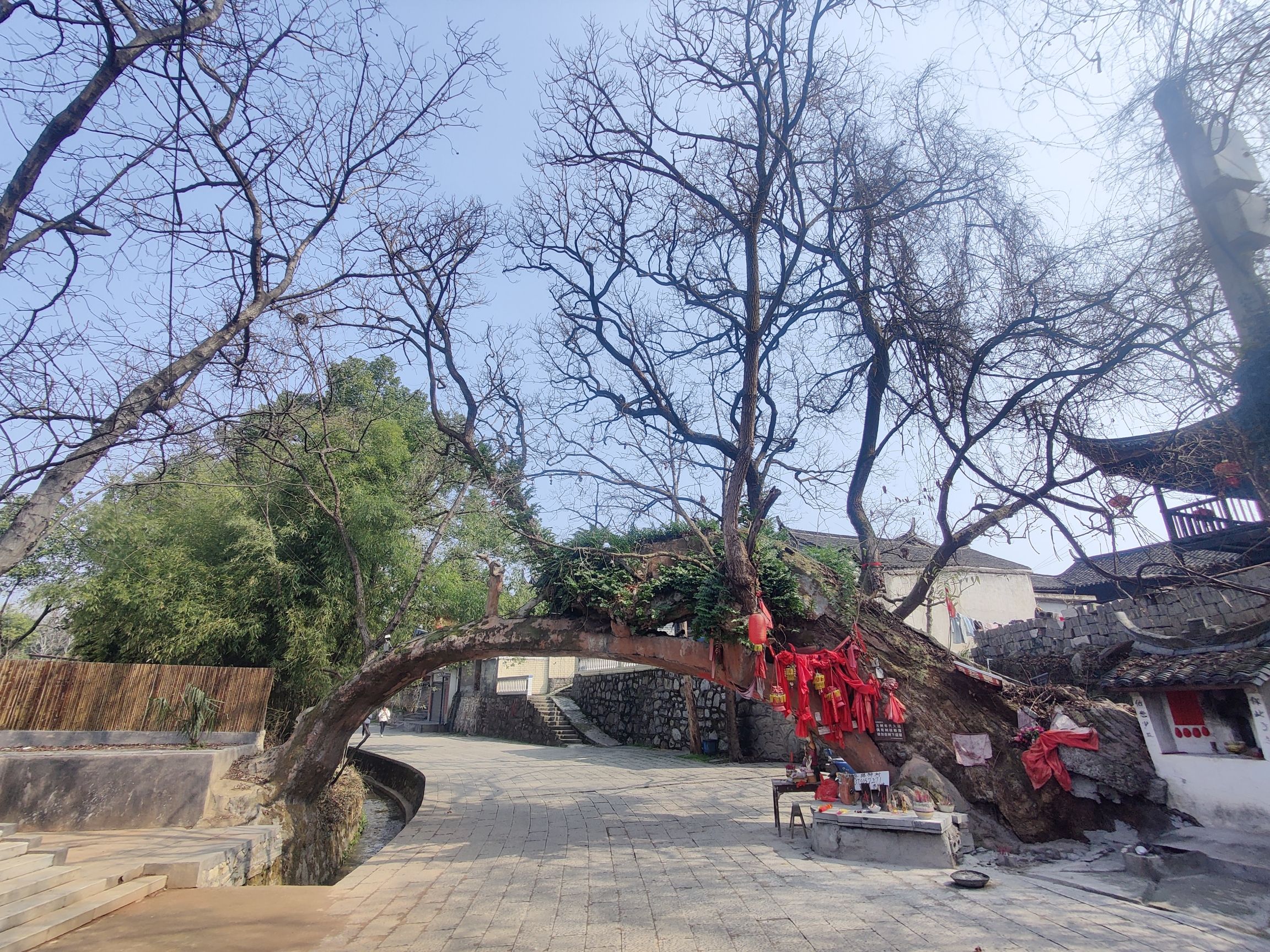 荆坪古村旅行图片 1