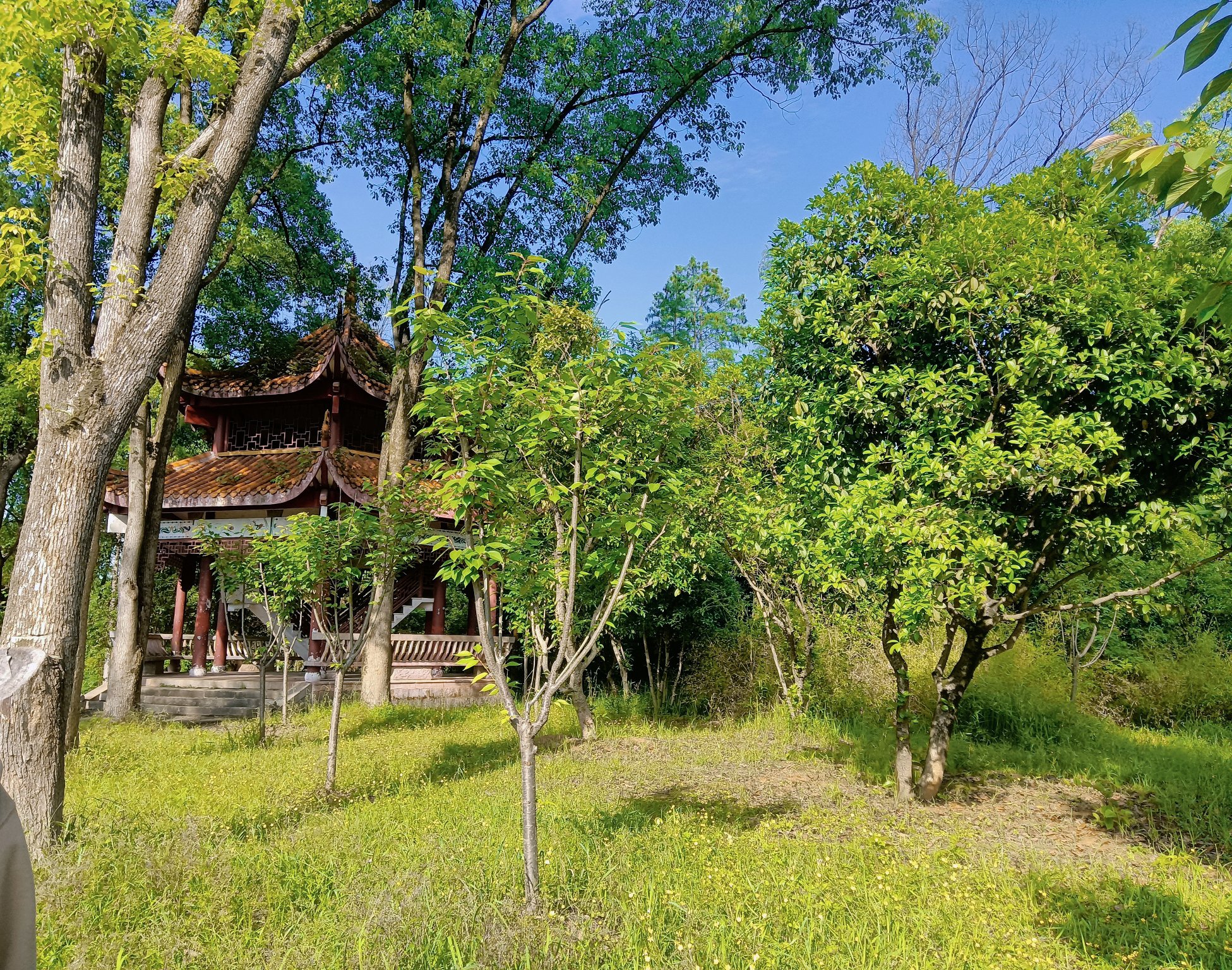 朝阳岩公园旅行图片 2