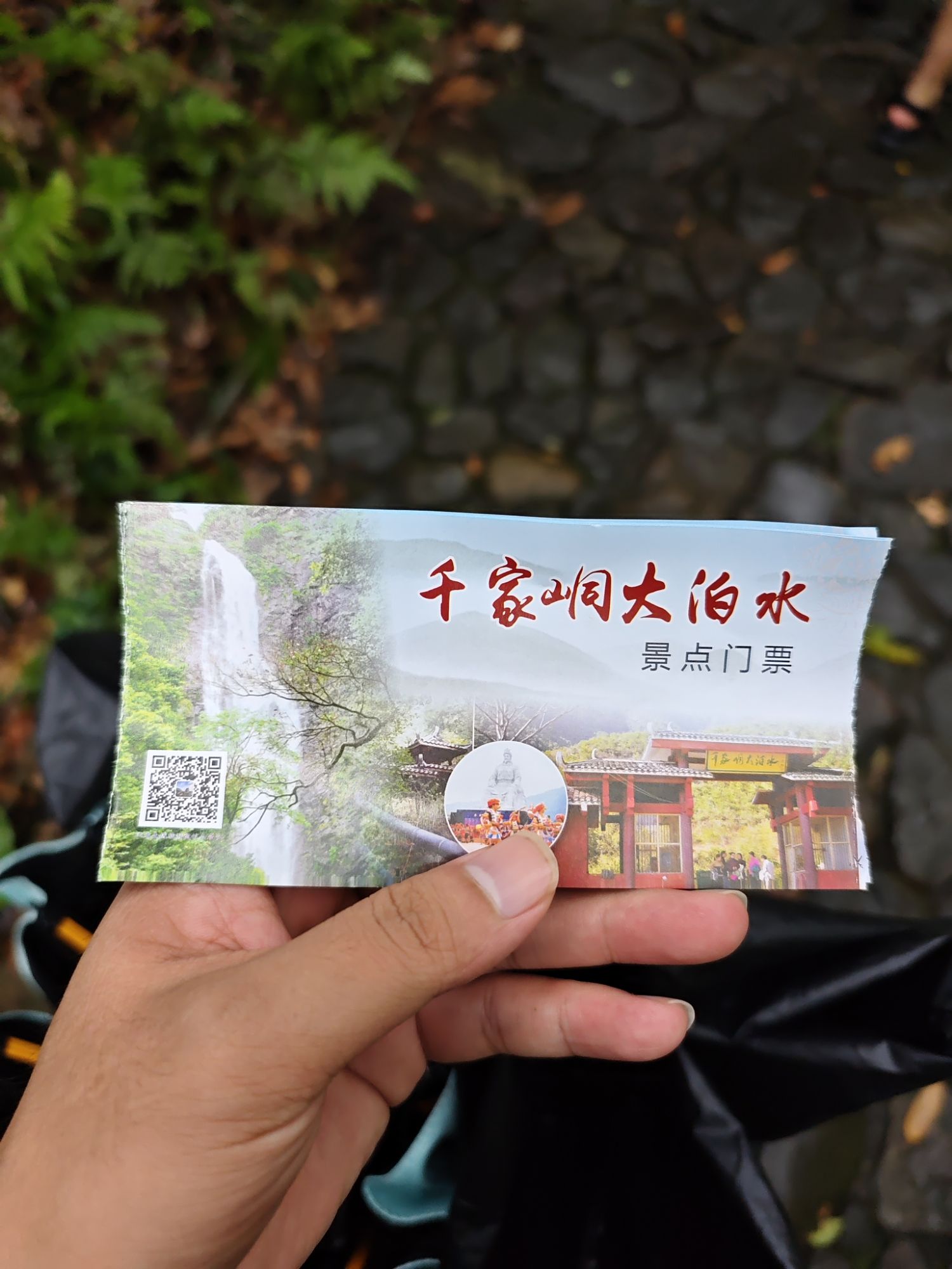 千家峒大泊水瀑布(暂停开放)旅行图片 2