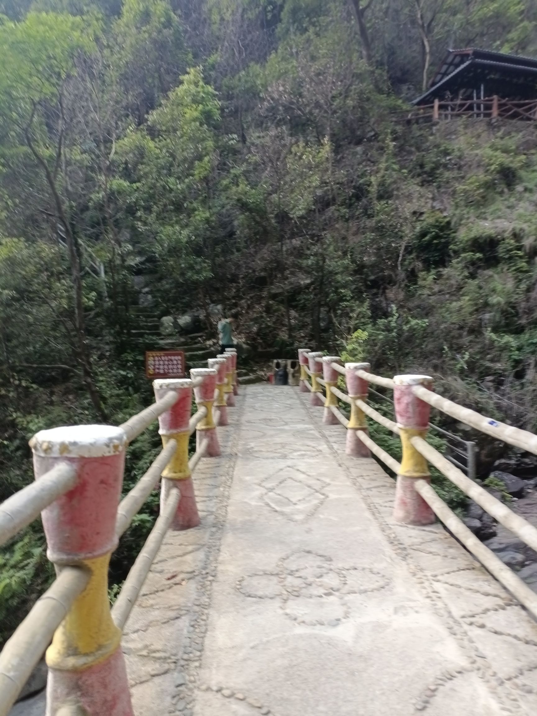 千家峒大泊水瀑布(暂停开放)旅行图片 3