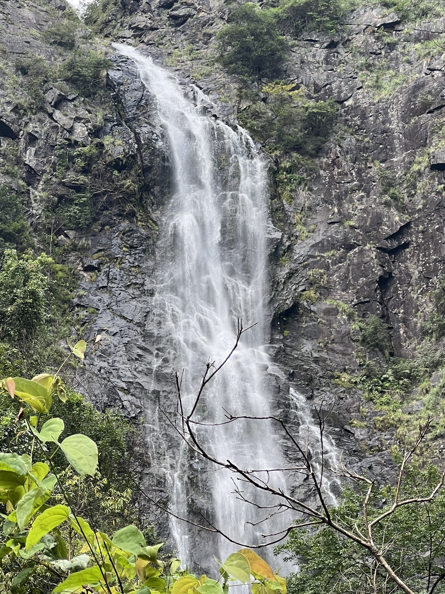 千家峒大泊水瀑布(暂停开放)旅行图片 3