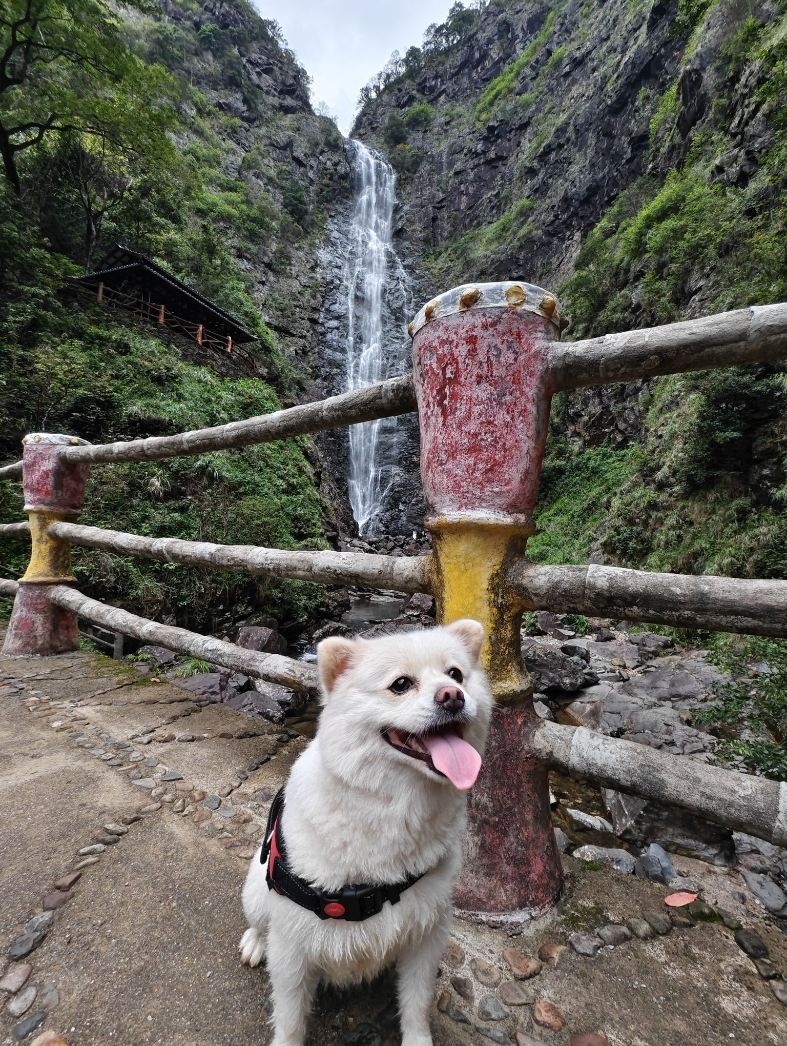 千家峒大泊水瀑布(暂停开放)旅行图片 3