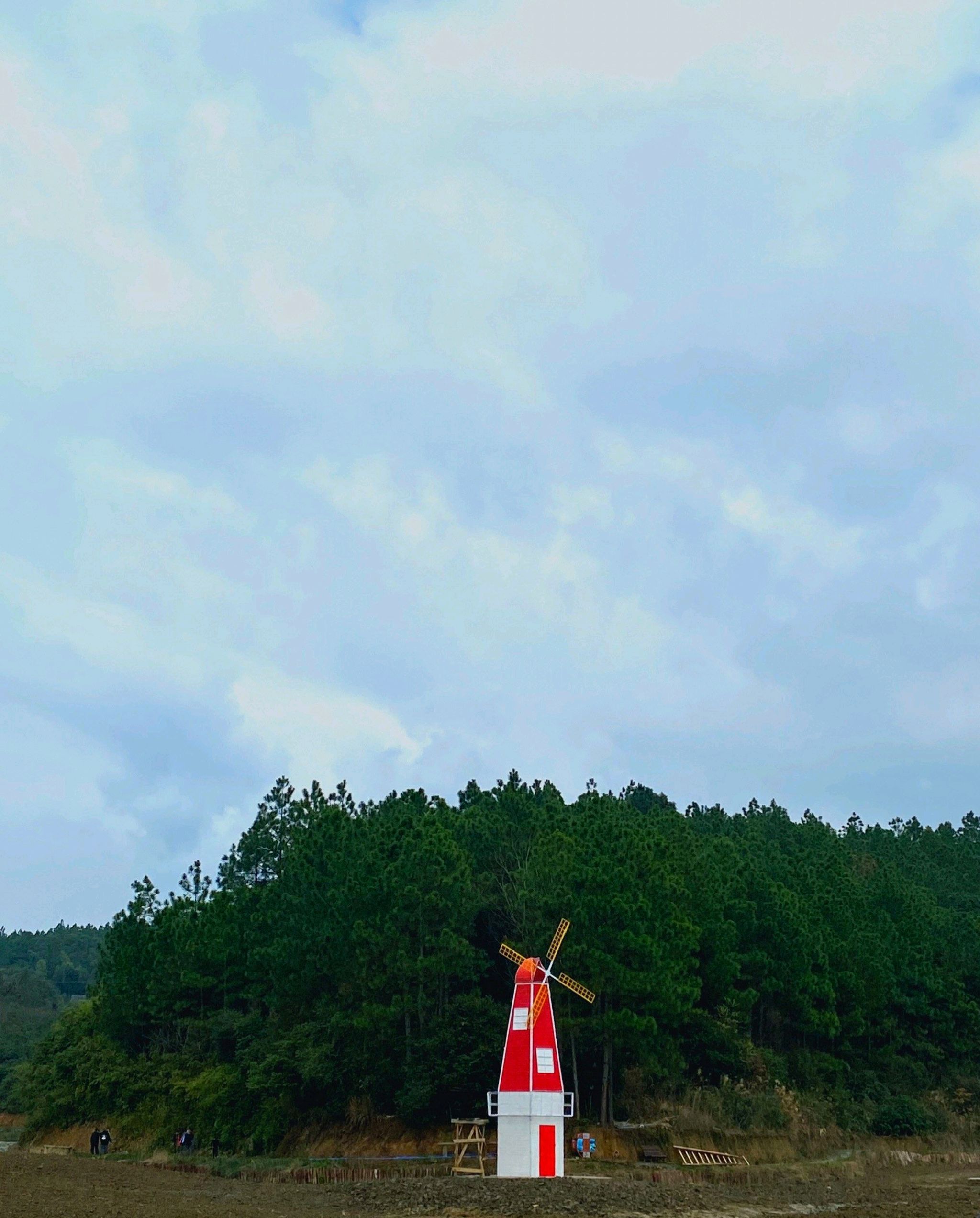 森林公园旅行图片 1