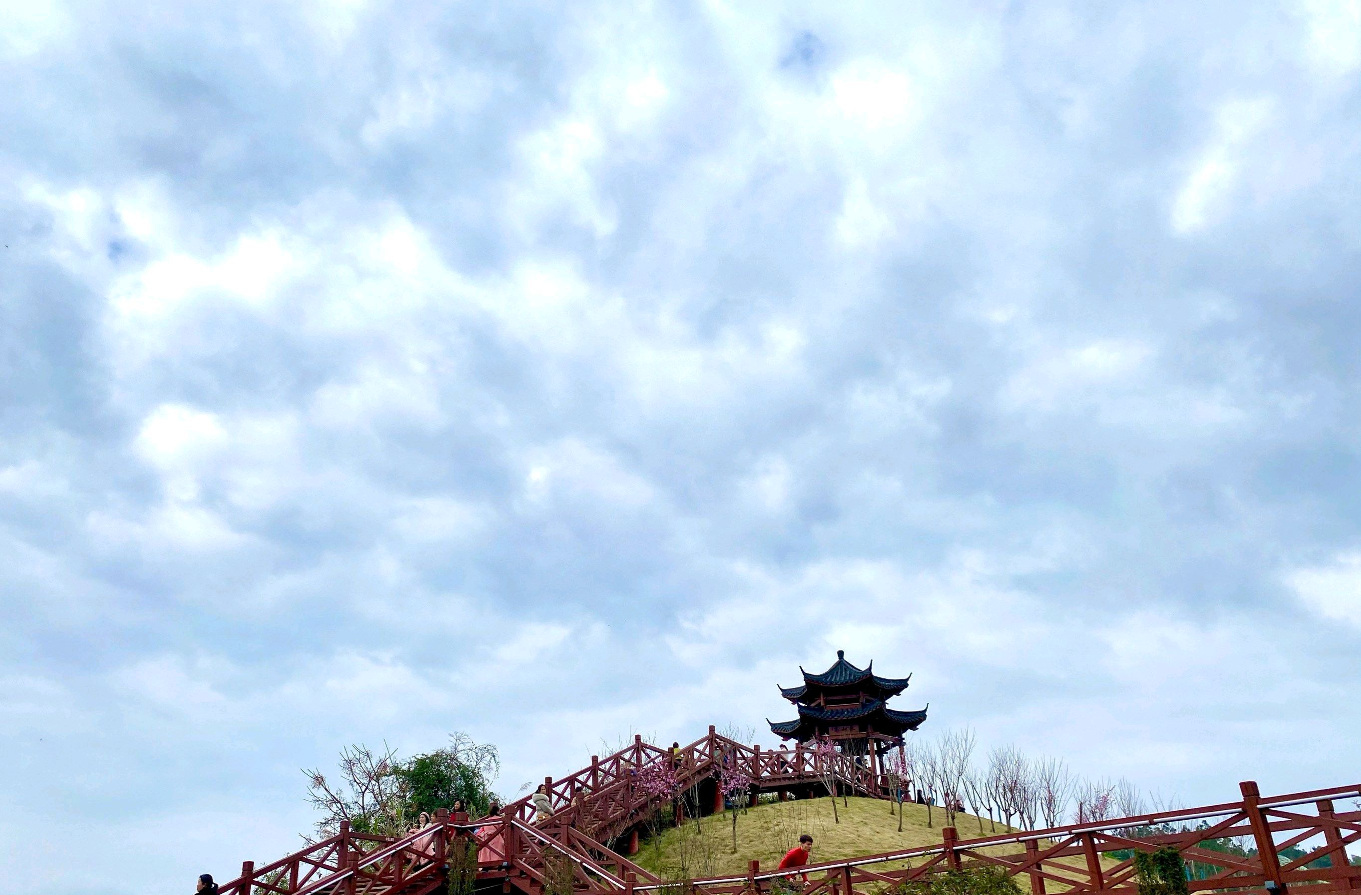 森林公园旅行图片 3