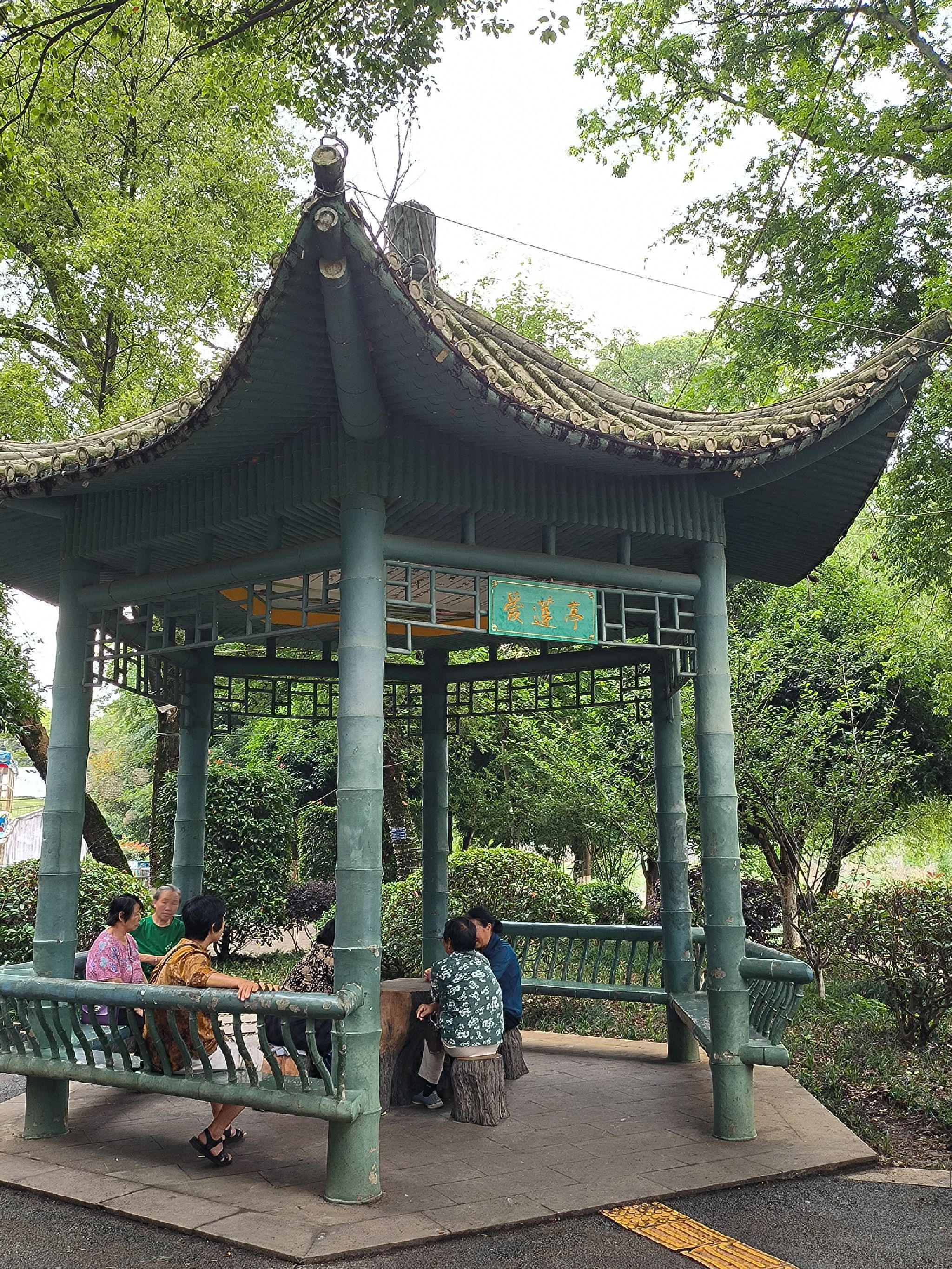西洲公园旅行图片 1