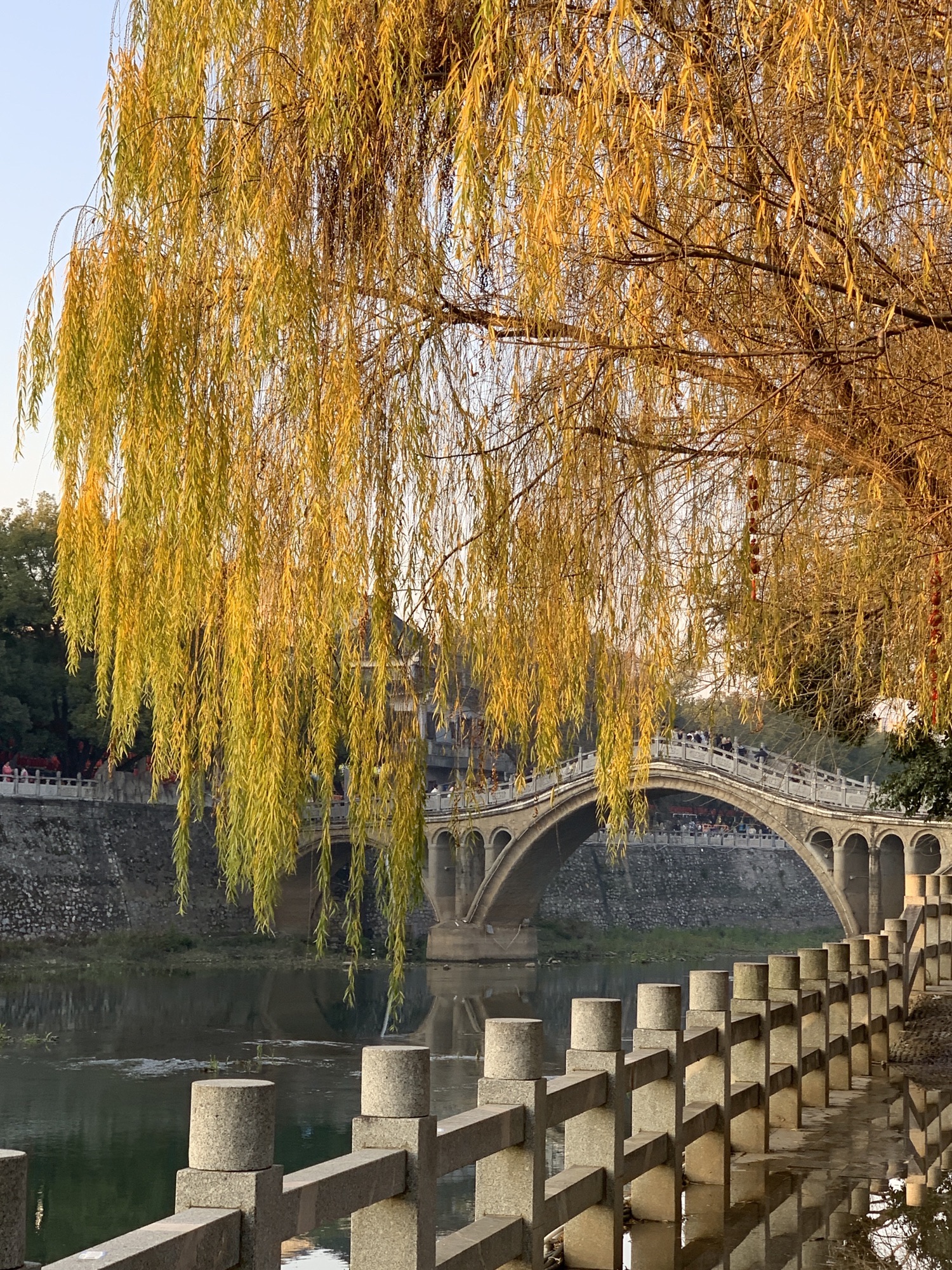 西洲公园