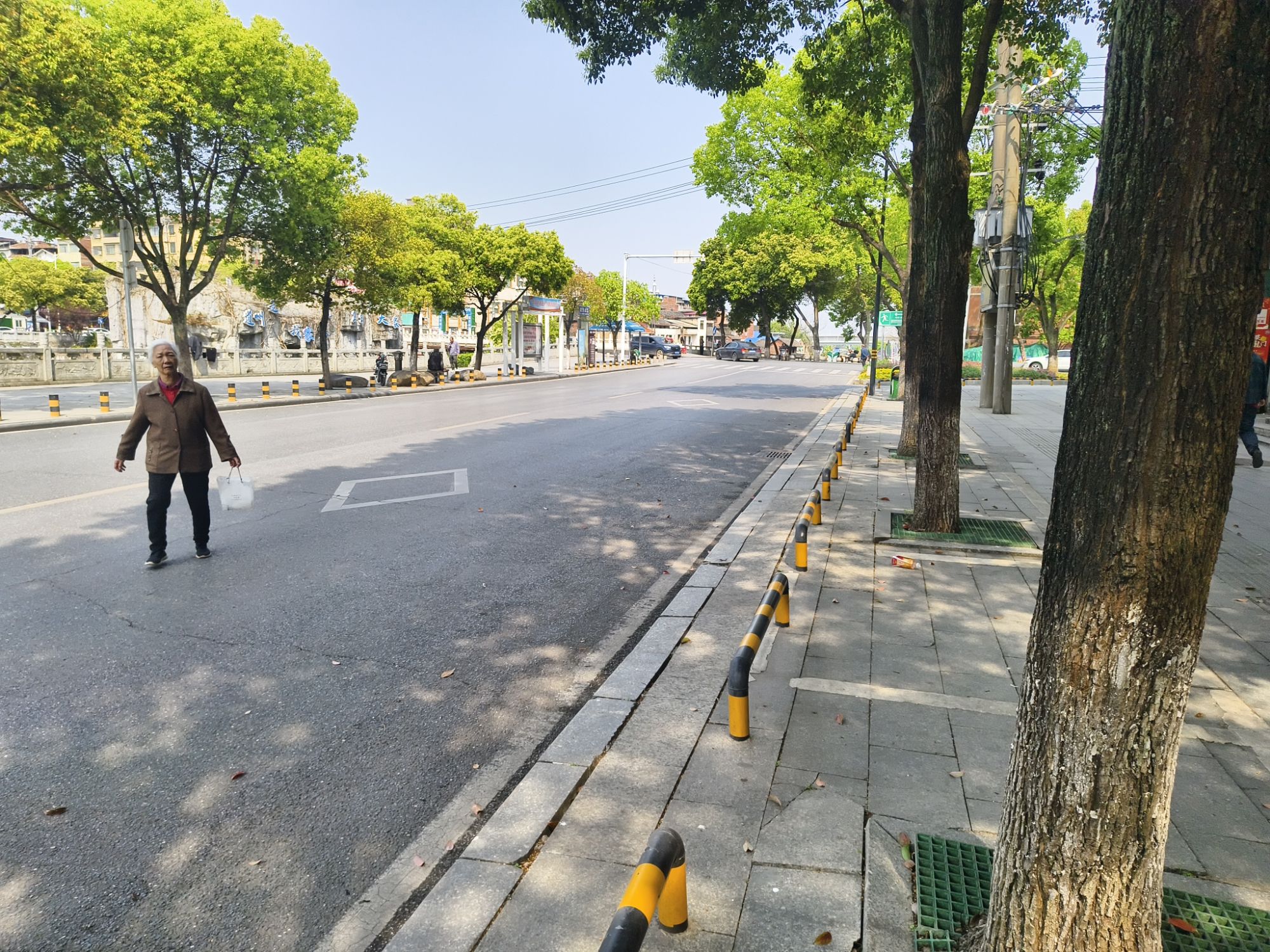 西洲公园旅行图片 3