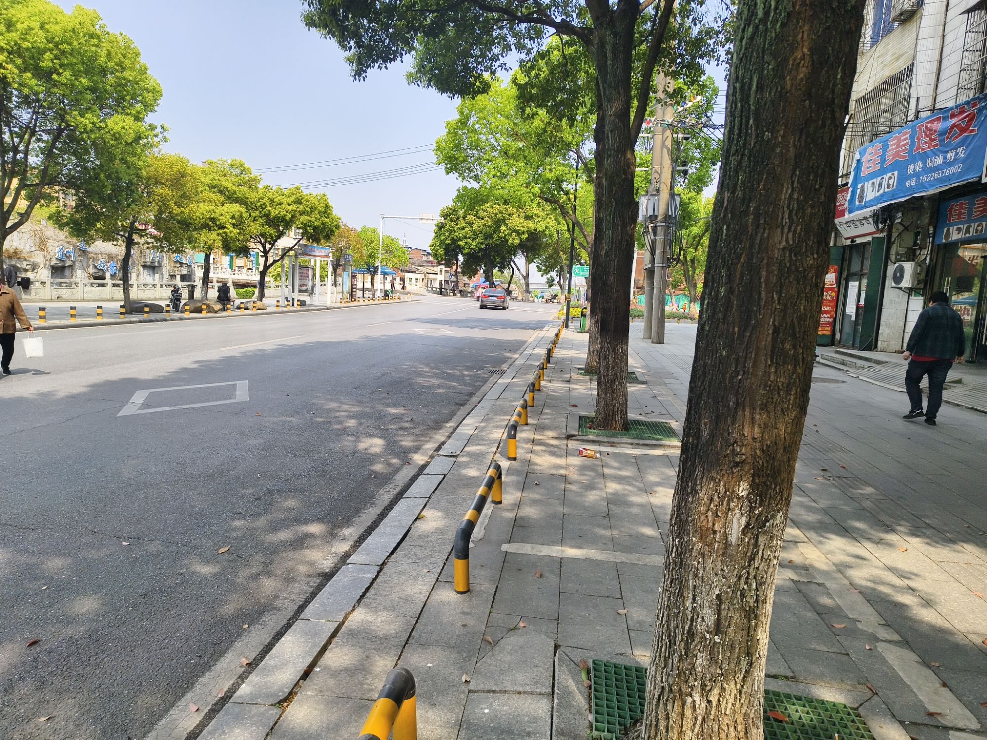 西洲公园旅行图片 2