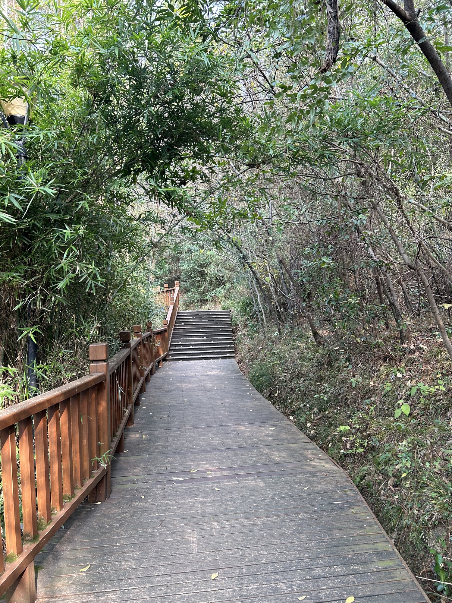 潇湘公园旅行图片 2
