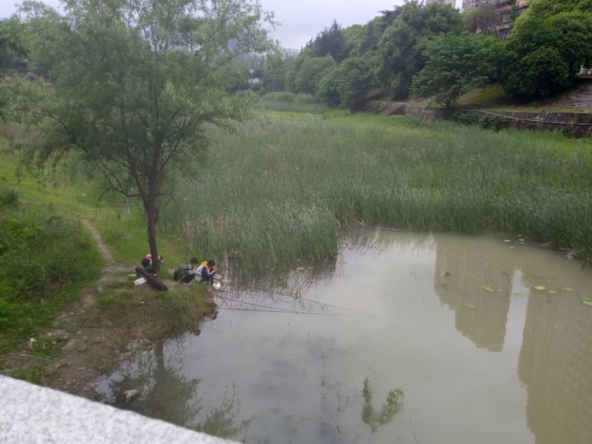 潇湘公园旅行图片 2