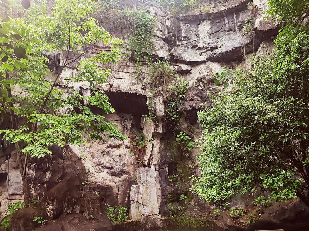 虎岩公园旅行图片 2