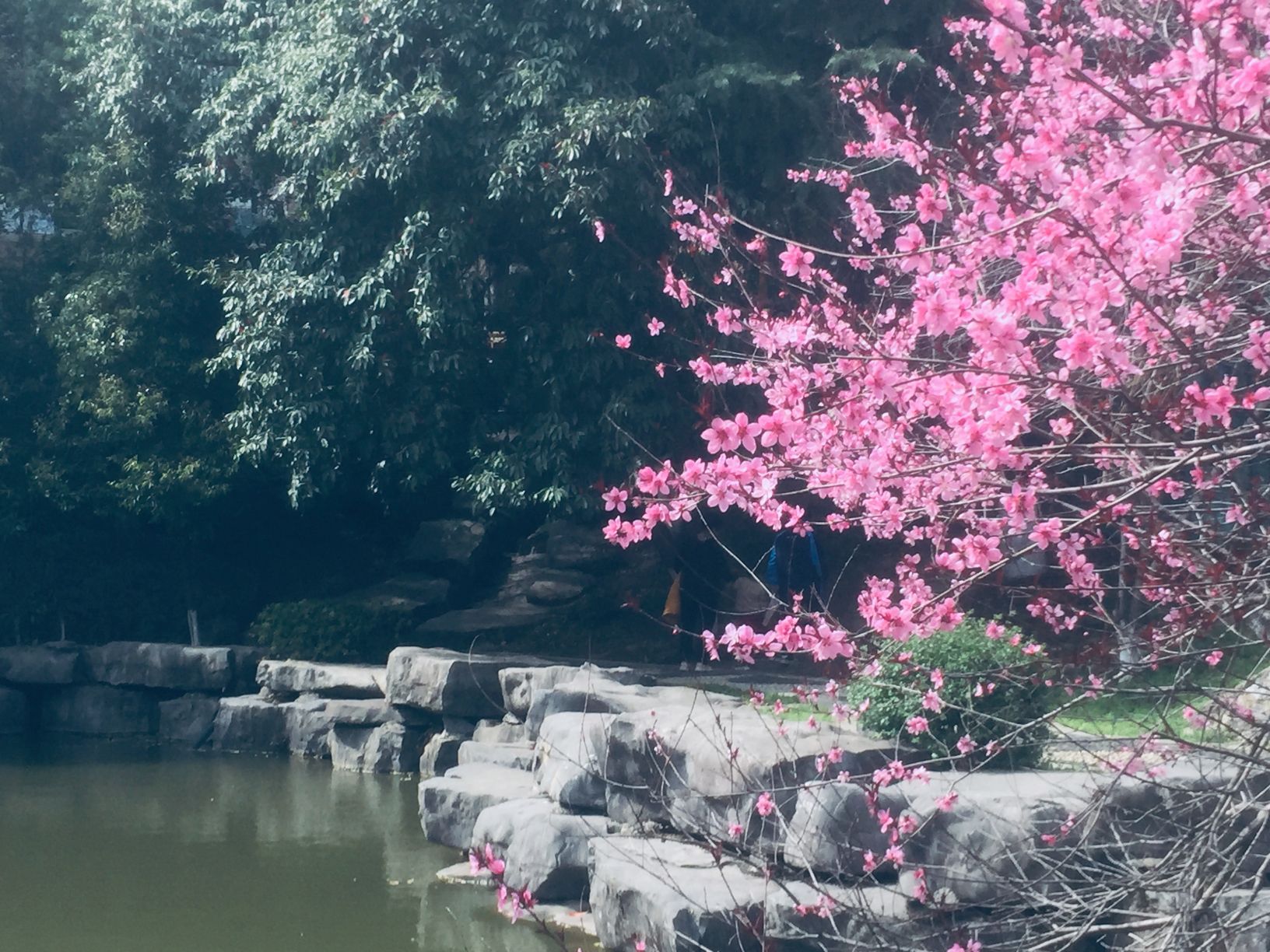 虎岩公园旅行图片 3