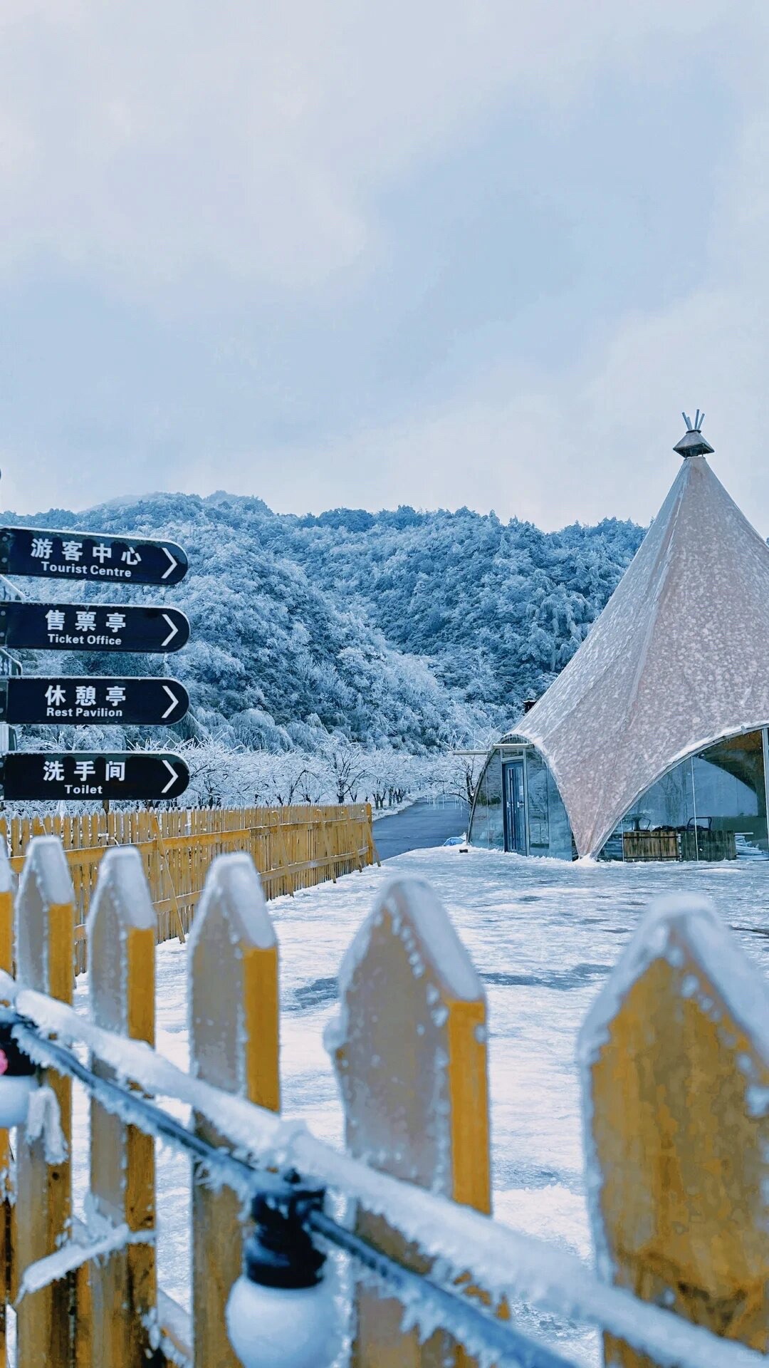 阳明山国家森林公园旅行图片 2