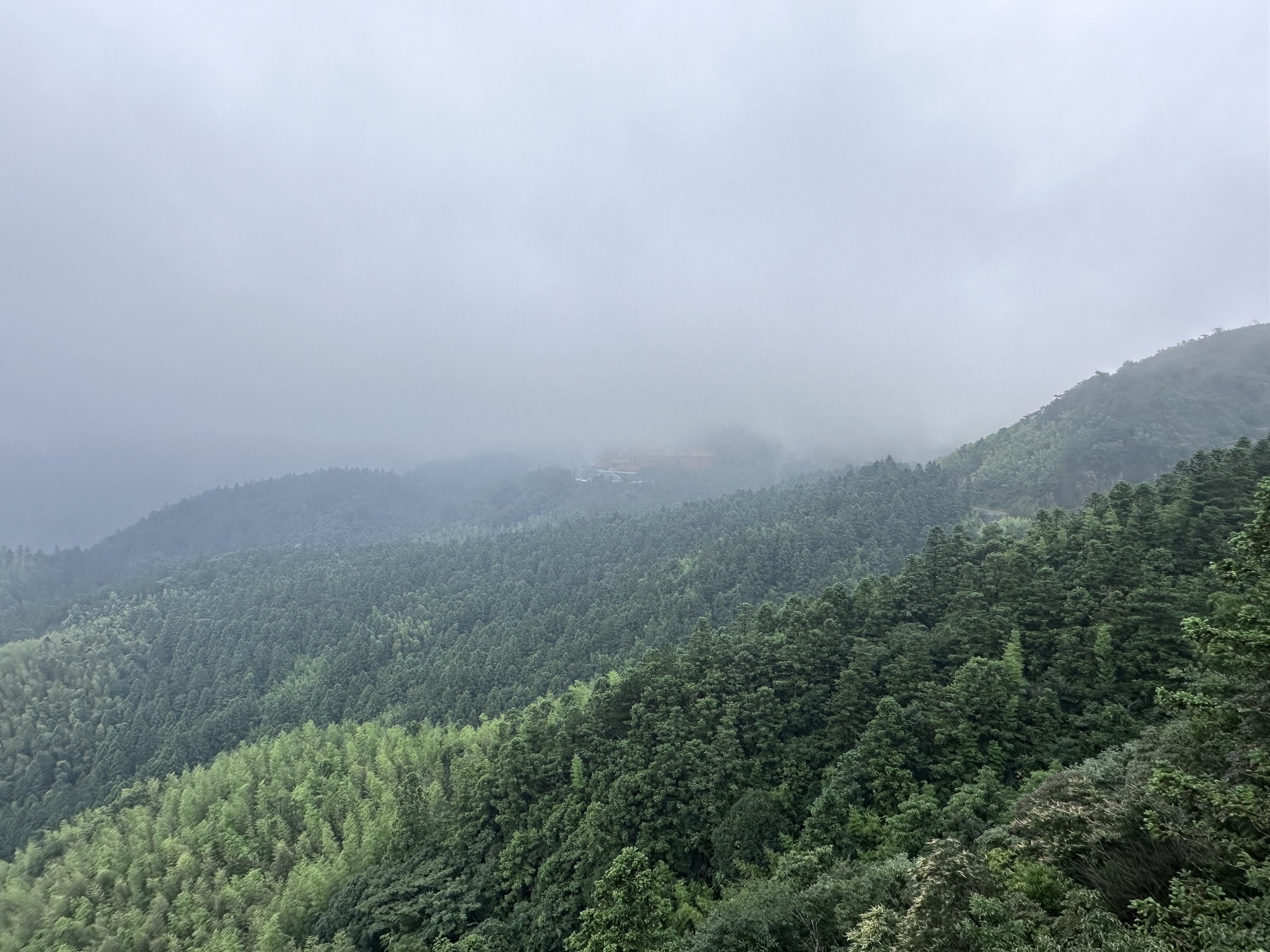 阳明山国家森林公园旅行图片 1
