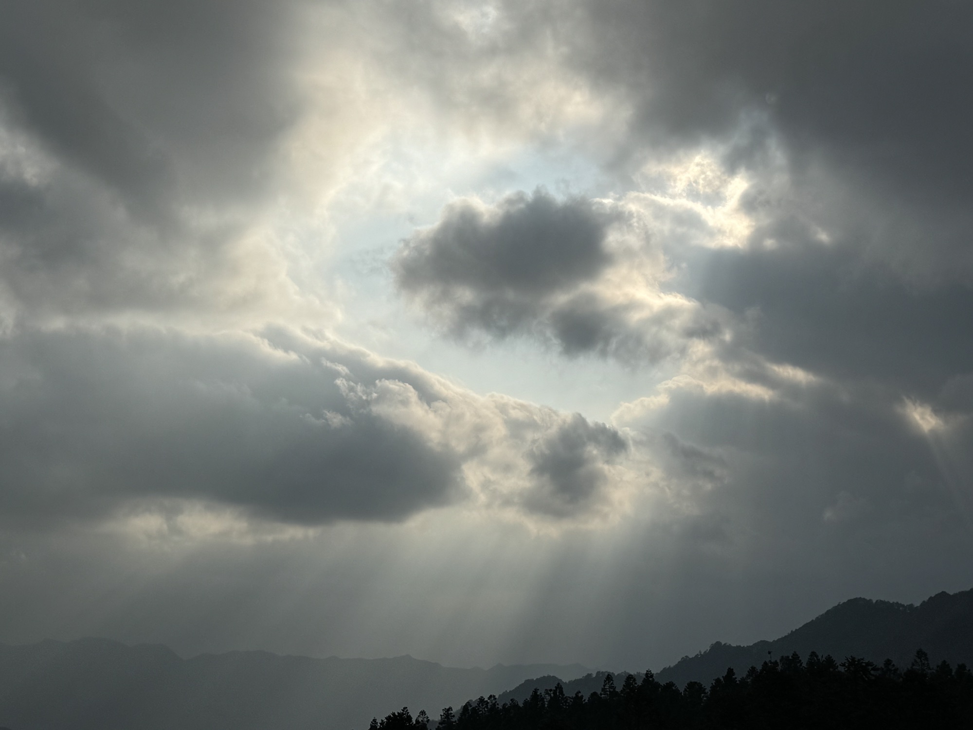 阳明山国家森林公园旅行图片 3