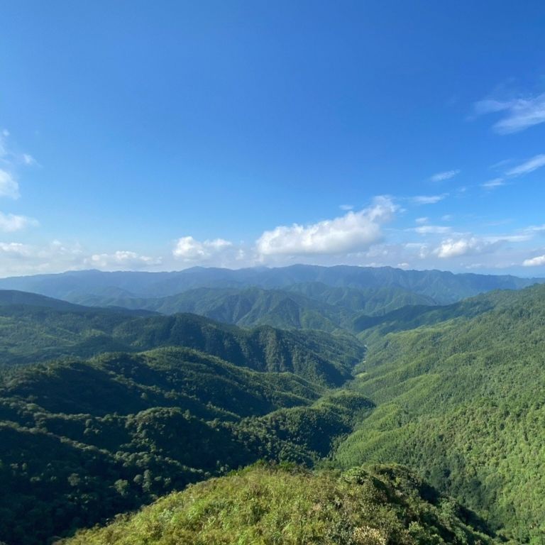 阳明山国家森林公园