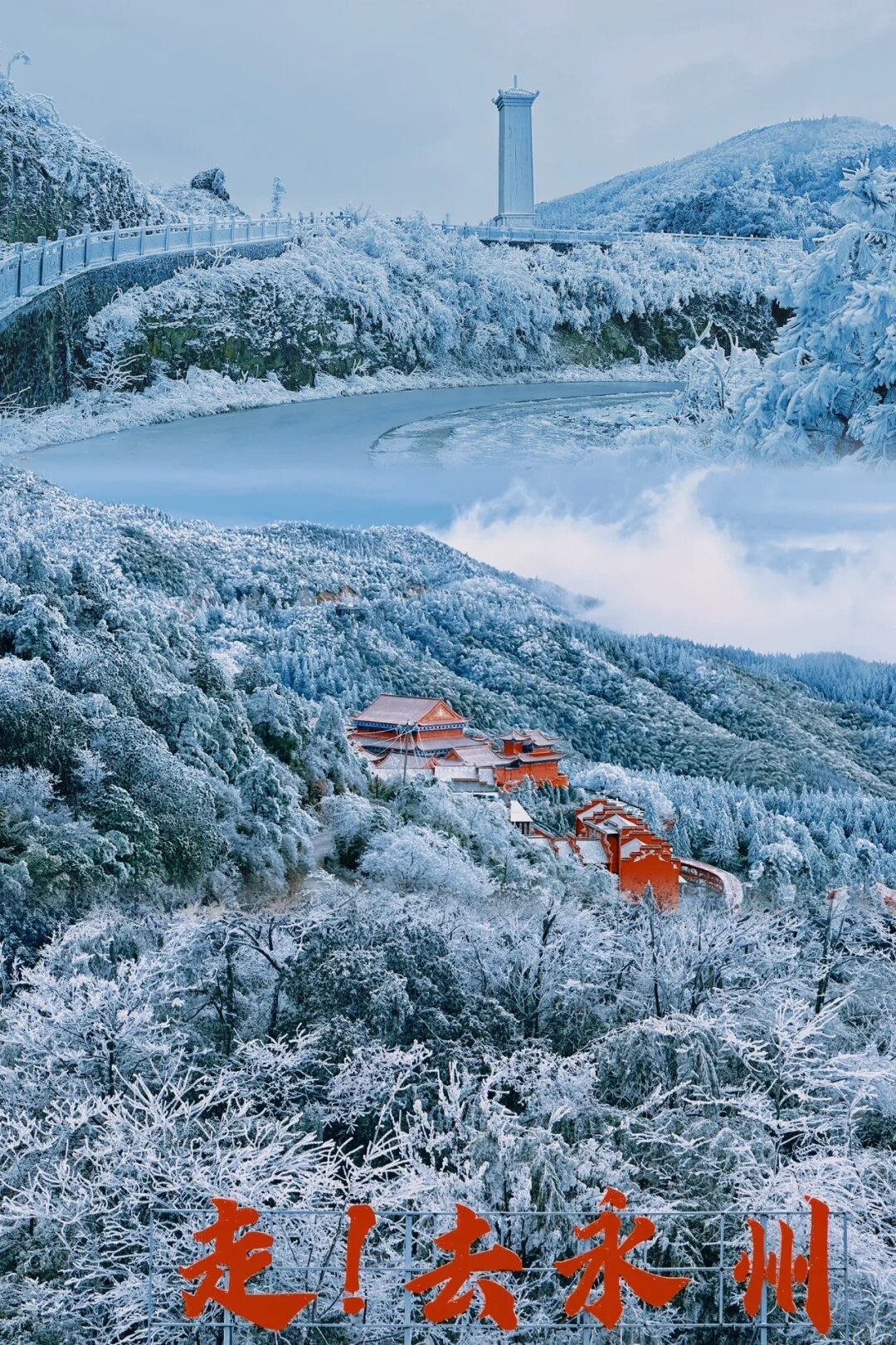 阳明山国家森林公园旅行图片 3
