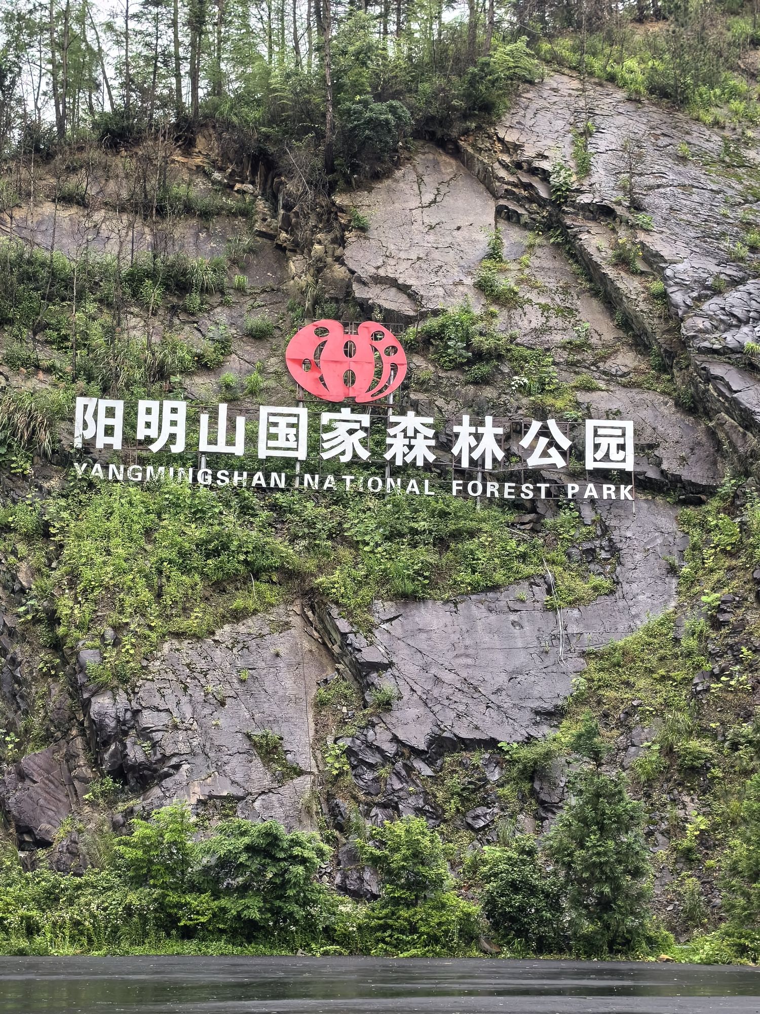 阳明山国家森林公园