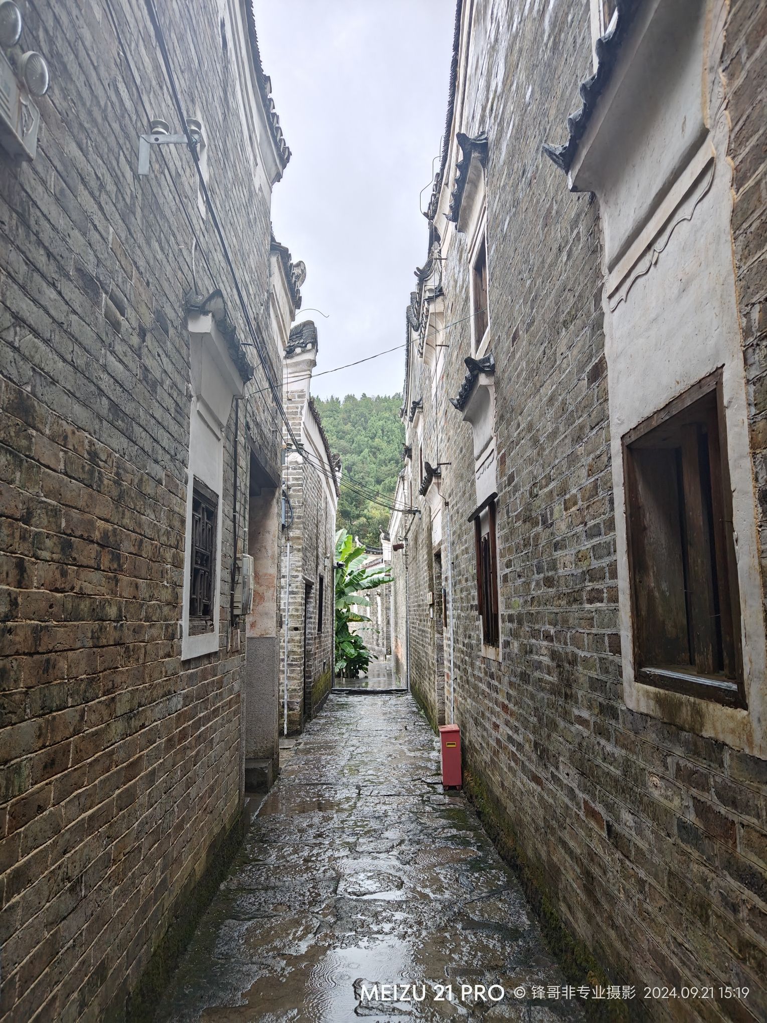 龙家大院旅行图片 3