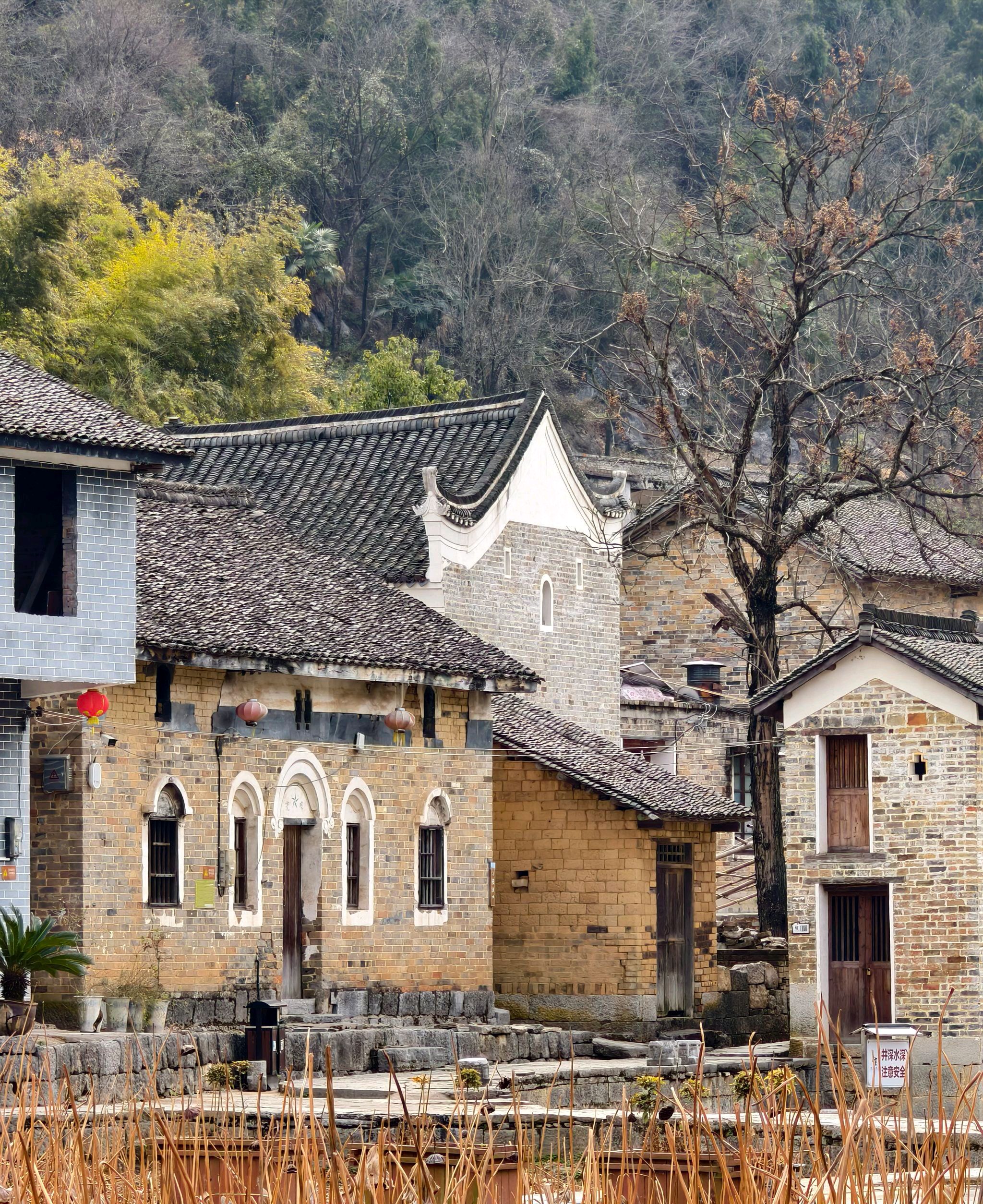 龙家大院旅行图片 2