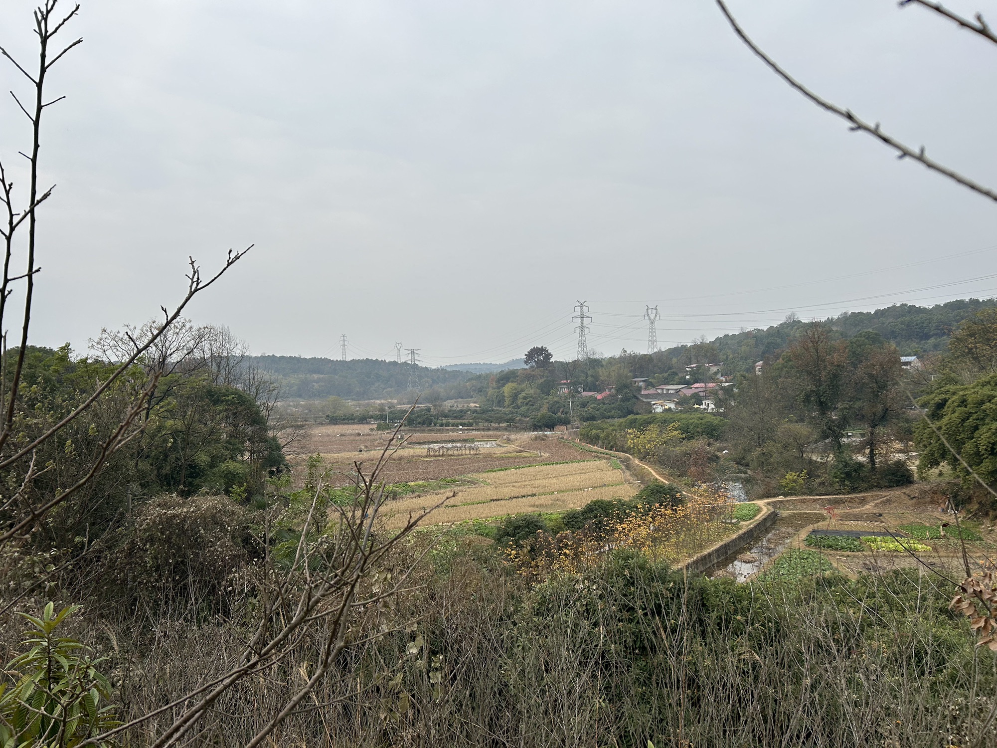 西瓜岭森林公园旅行图片 3