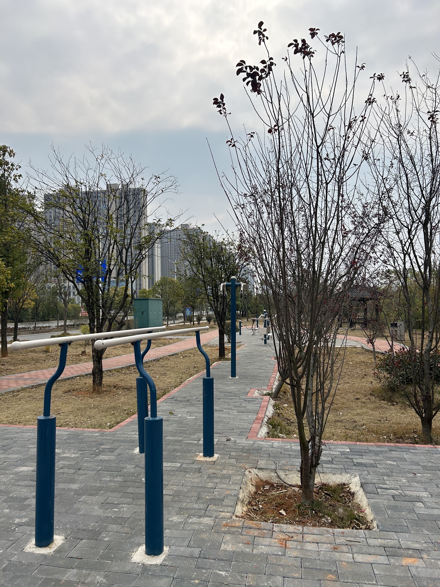 西瓜岭森林公园旅行图片 1