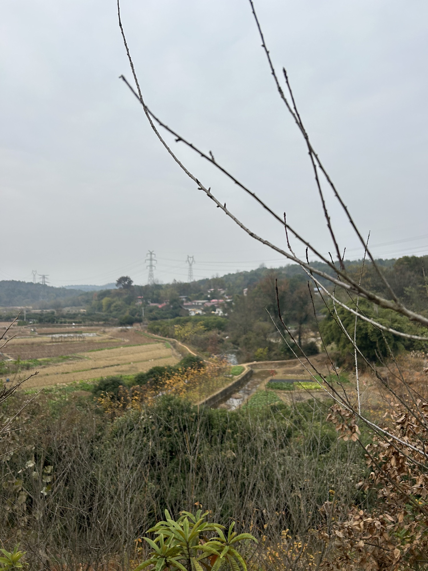 西瓜岭森林公园旅行图片 2