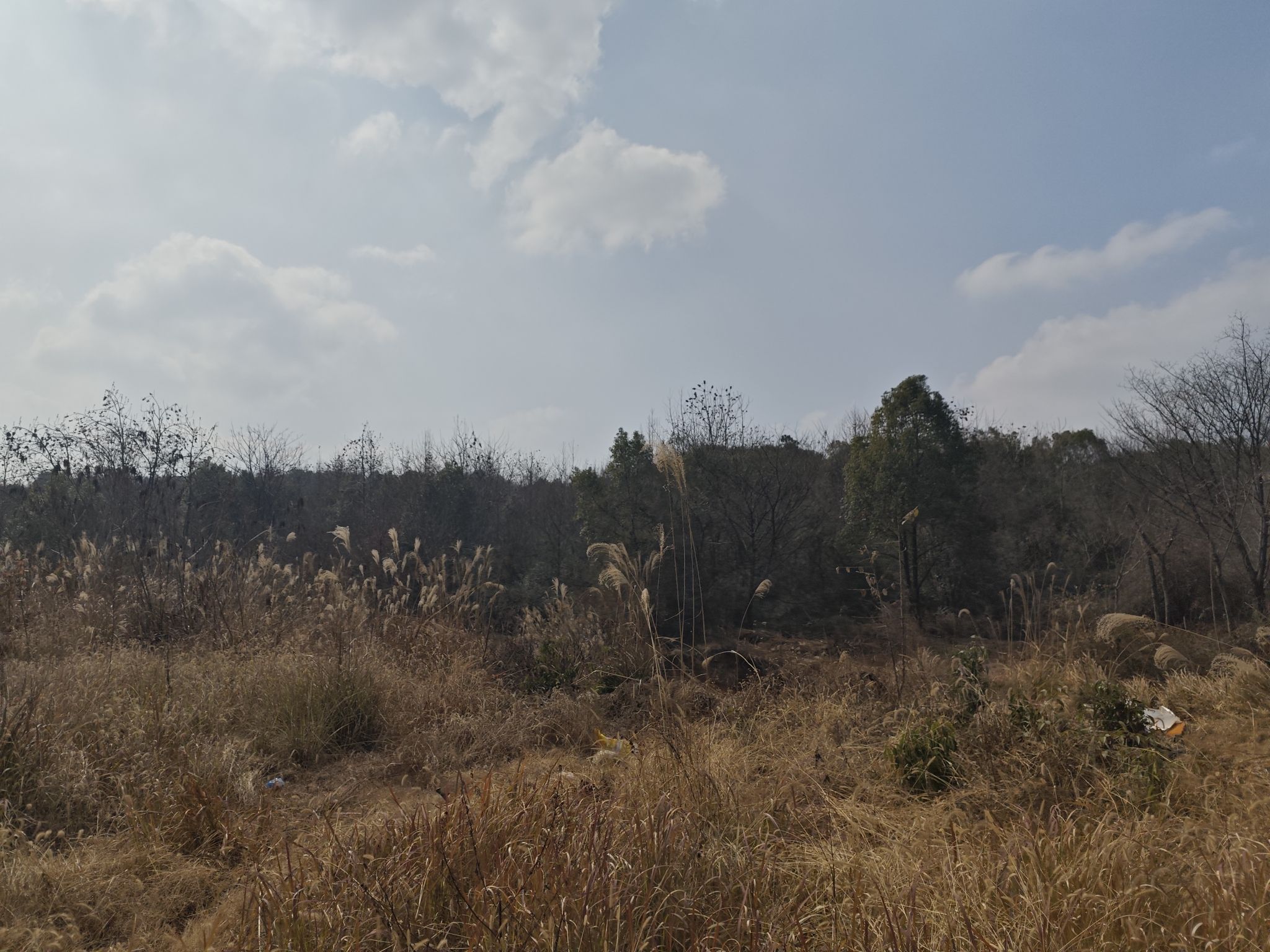 西瓜岭森林公园旅行图片 3