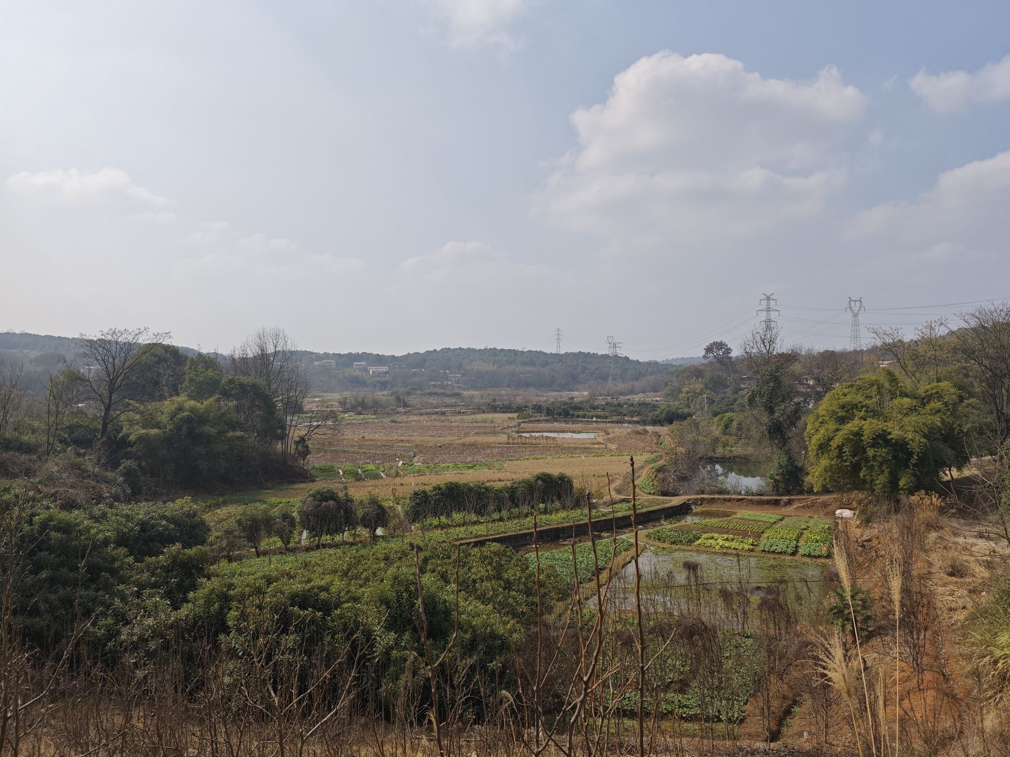 西瓜岭森林公园旅行图片 2