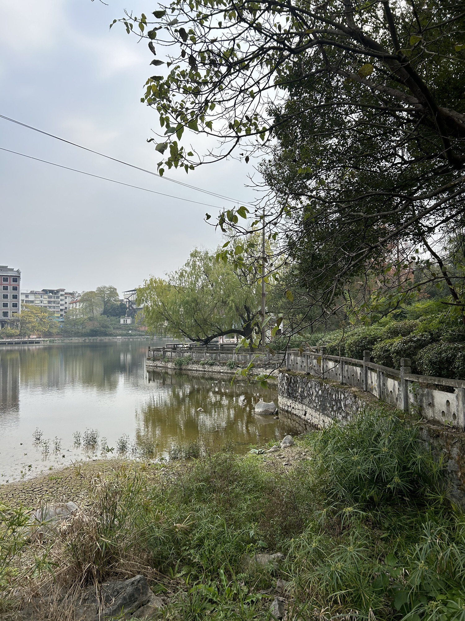 永州怀素公园旅行图片 3